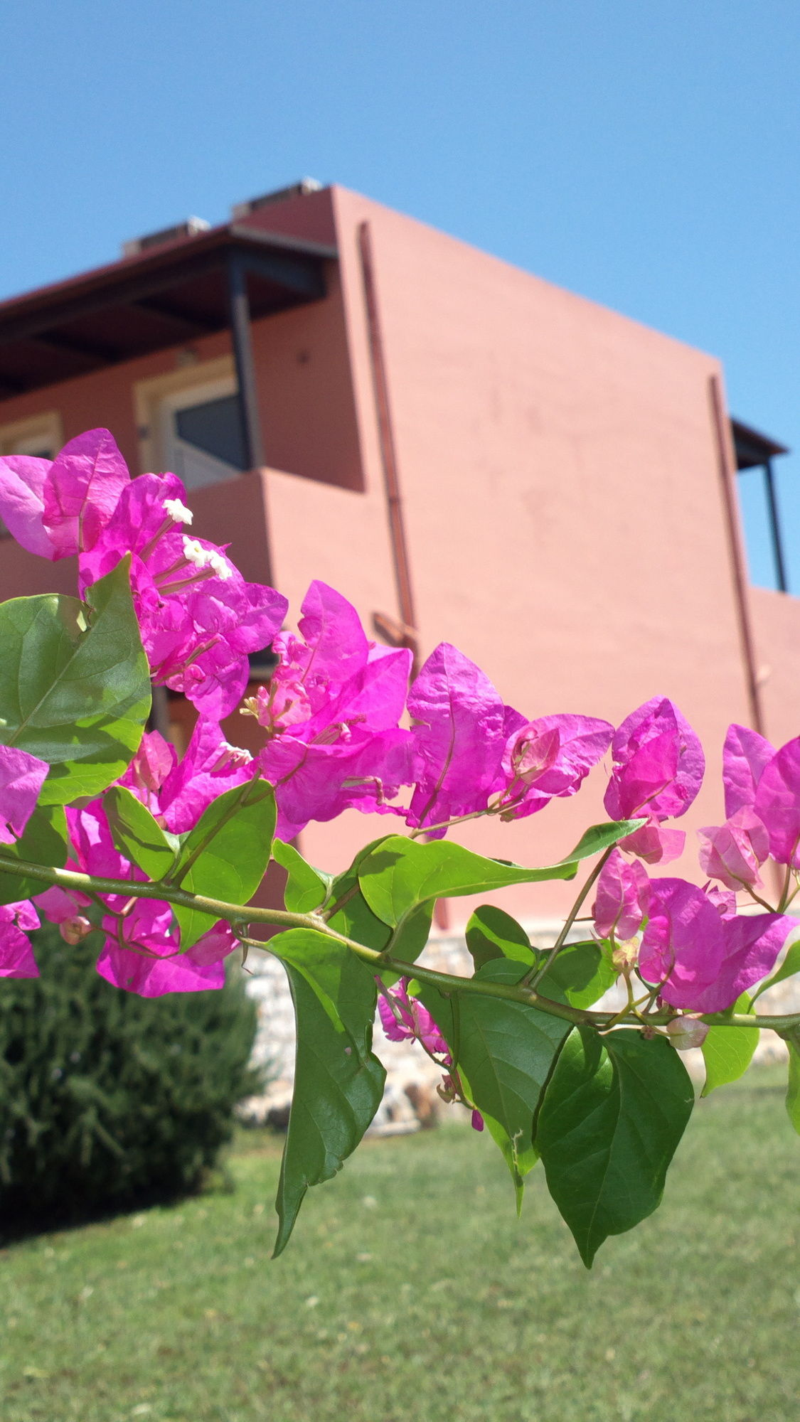 Фото Kallicrates Village