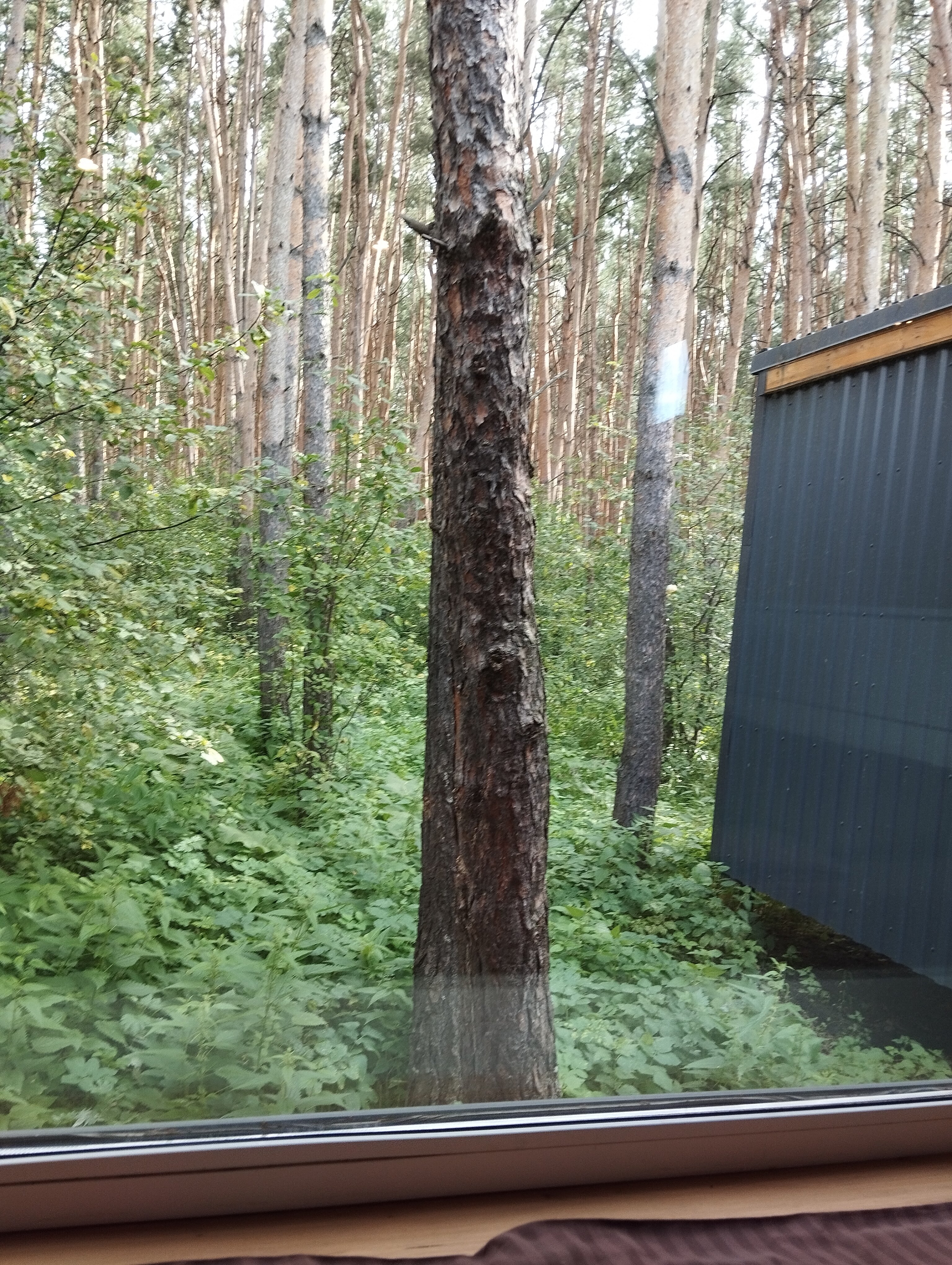 Фото Шалаш парк