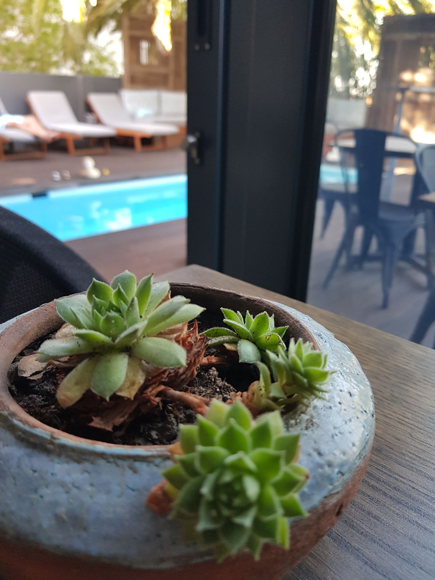 Фото The Tree House Boutique Hotel