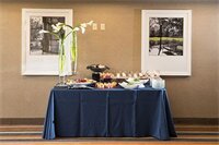 Фото Holiday Inn Express Atlanta Galleria - Ballpark Area, an Ihg Hotel