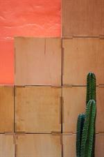 Фото MoMo's Kuala Lumpur