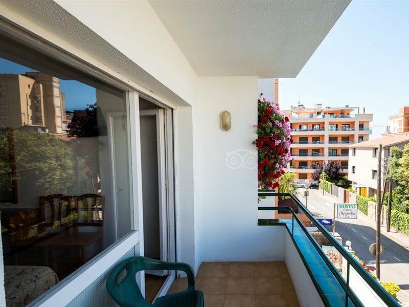 Фото Hostal Magnolia