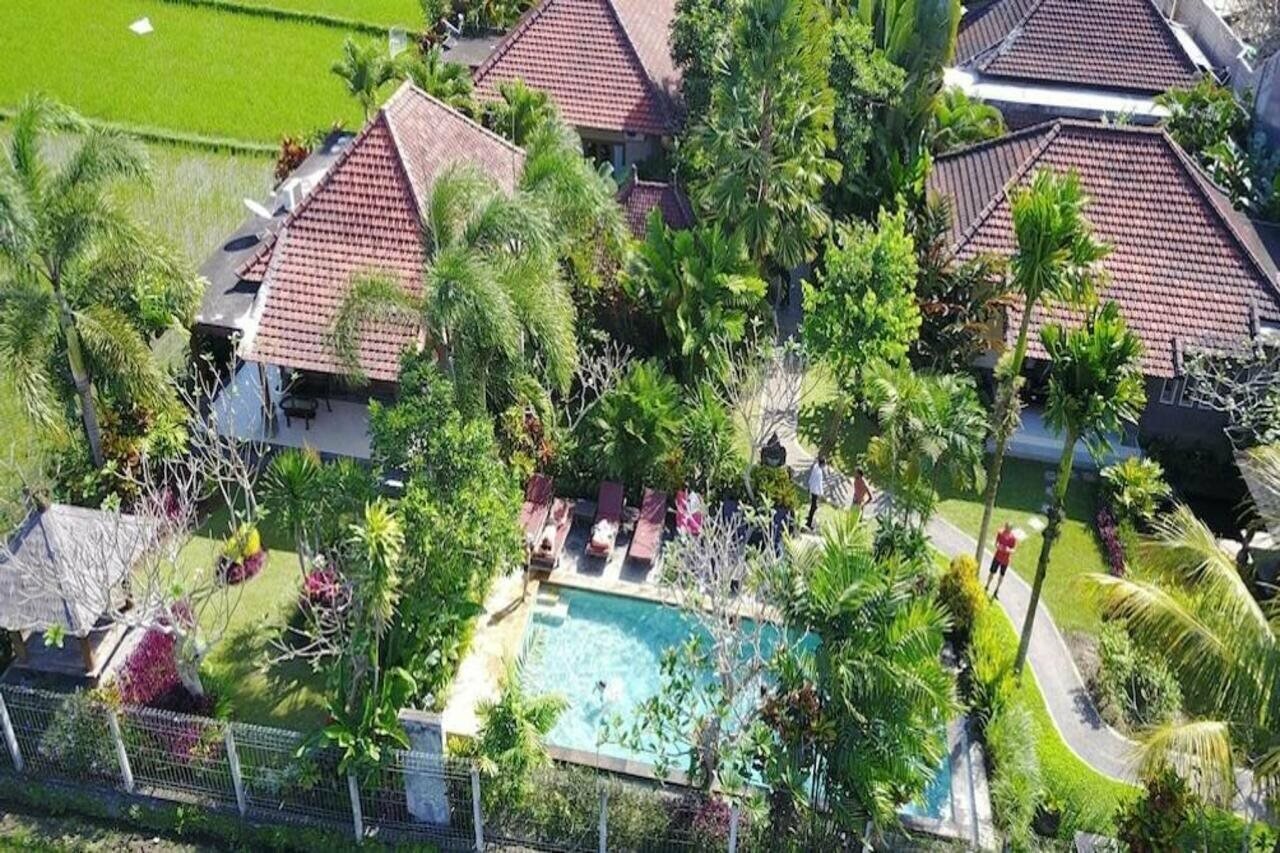 Фото Villa Mandi