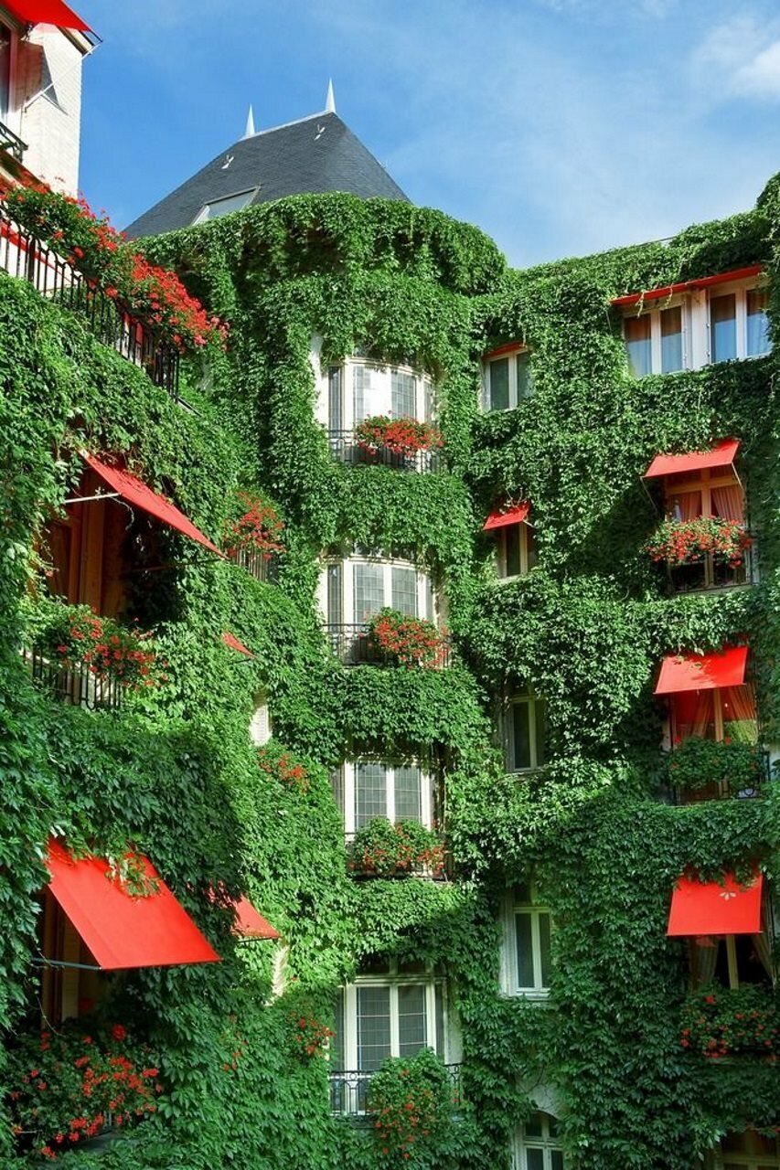 Фото Hotel Plaza Athenee