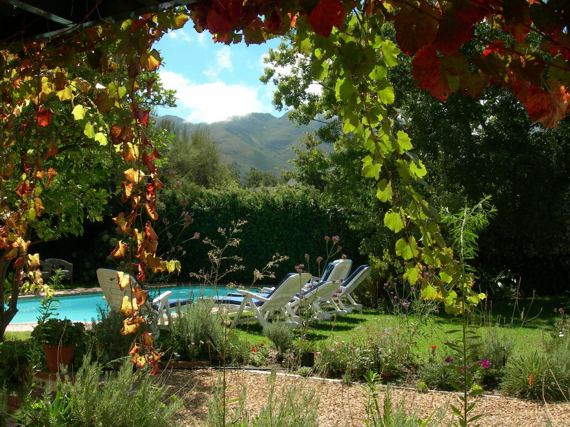 Фото La Fontaine