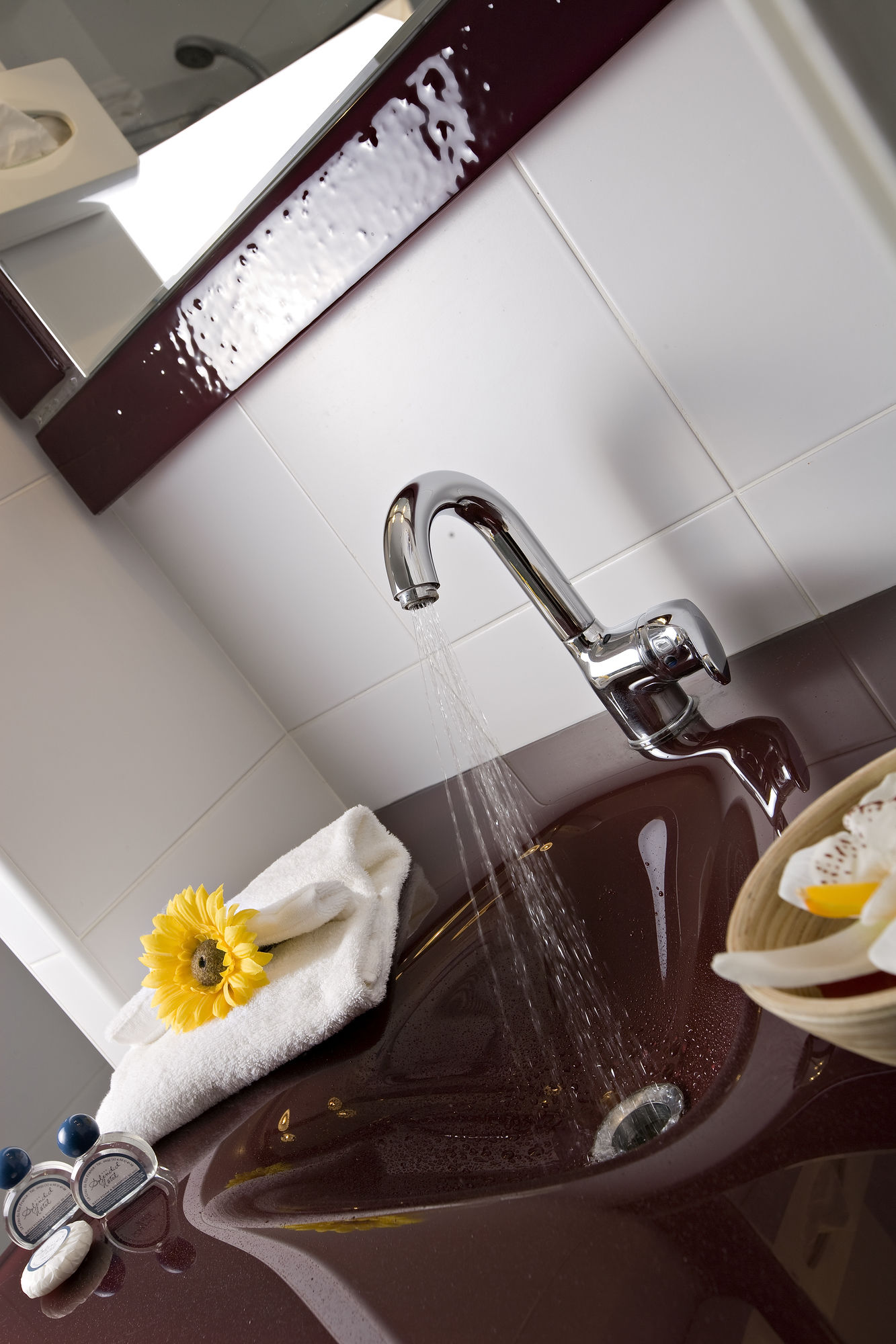 Фото Splendid Hotel Camargue