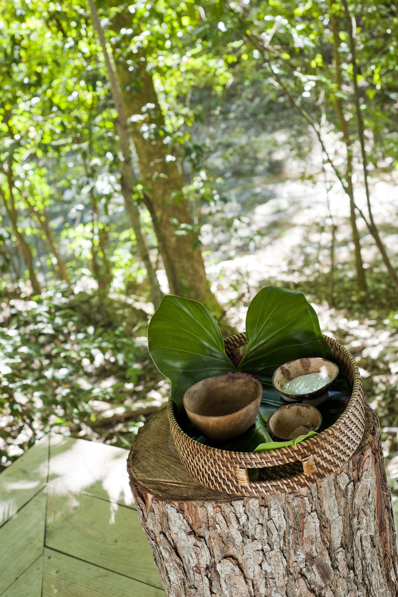 Фото Casa Bonita Tropical Lodge