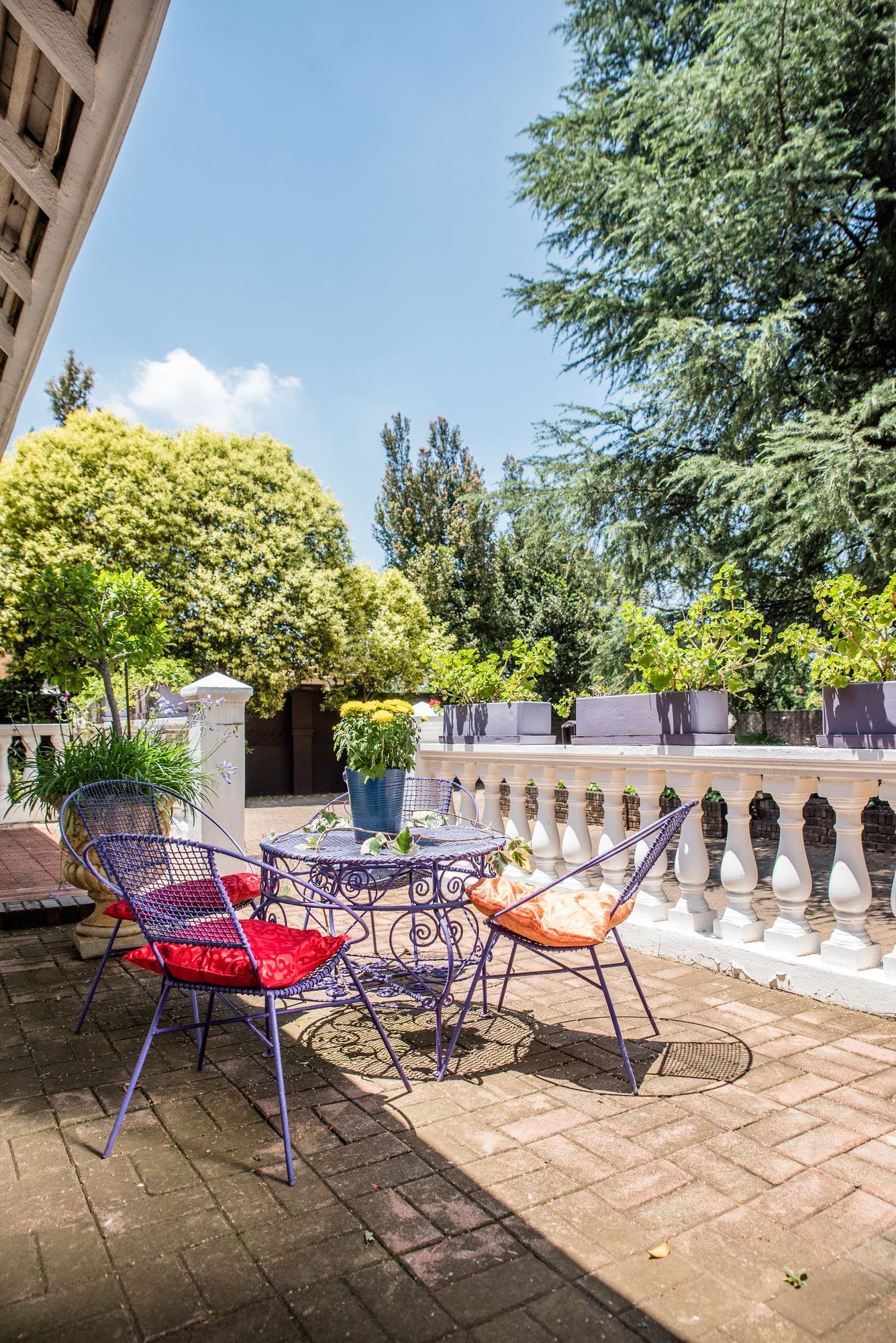 Фото 5th Avenue Gooseberry Guest House