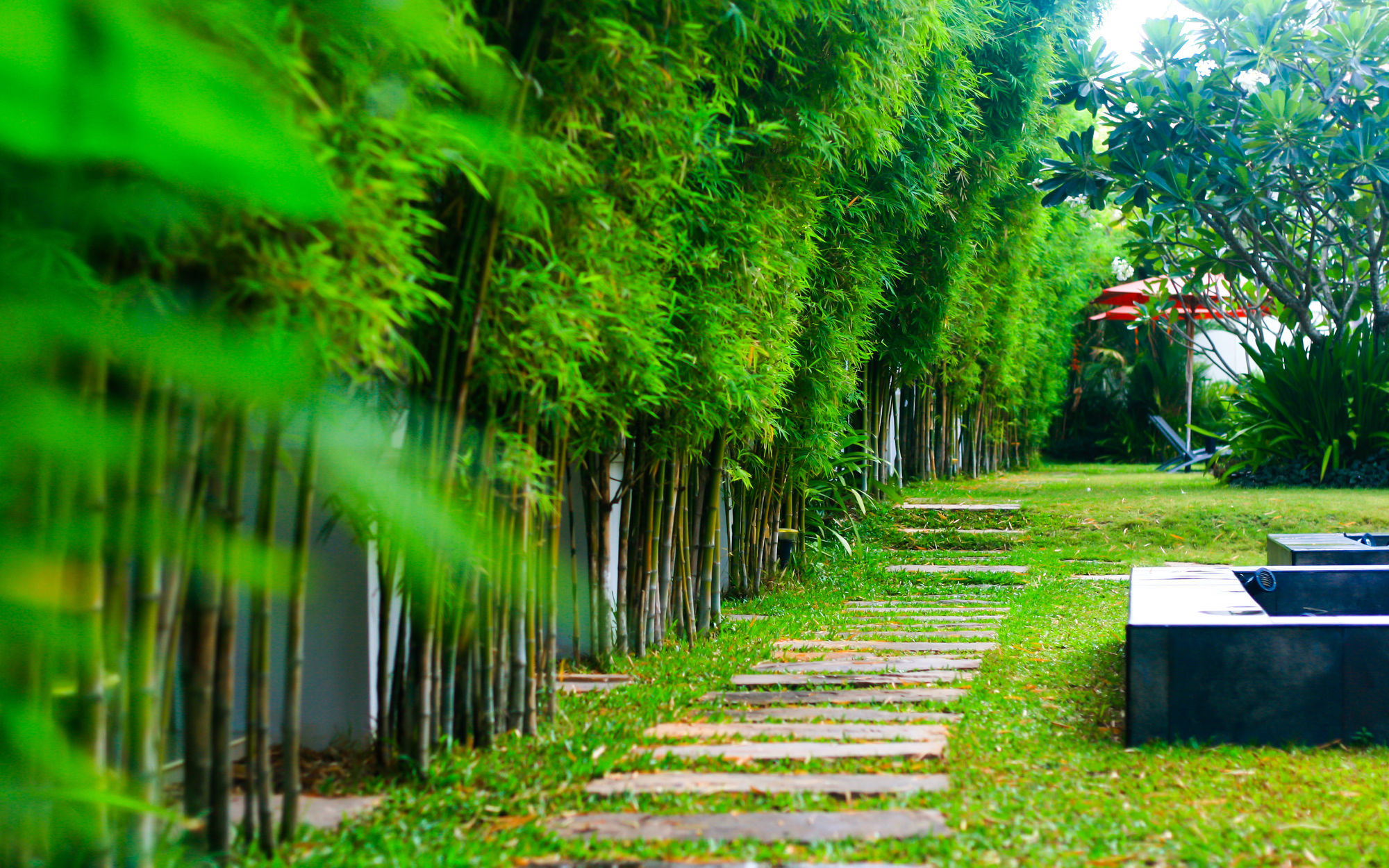 Фото Palm Grove Resort