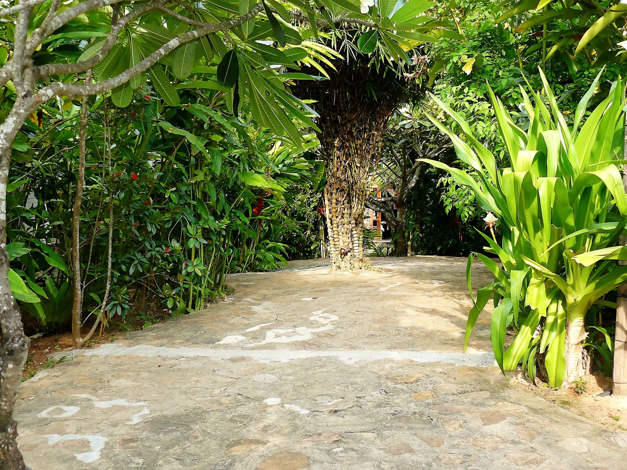 Фото Mealea Resort