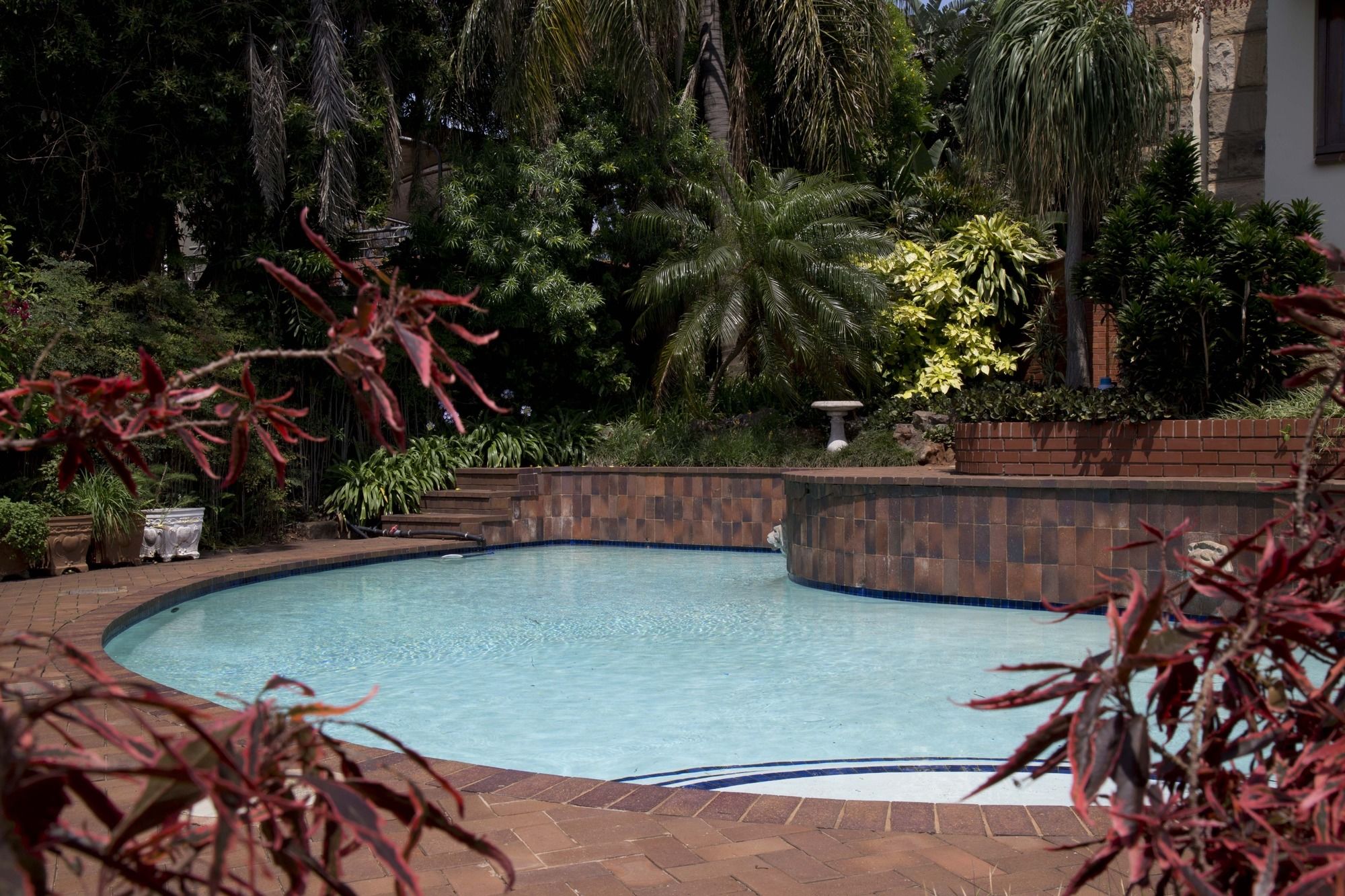 Фото Ridgeview Lodge