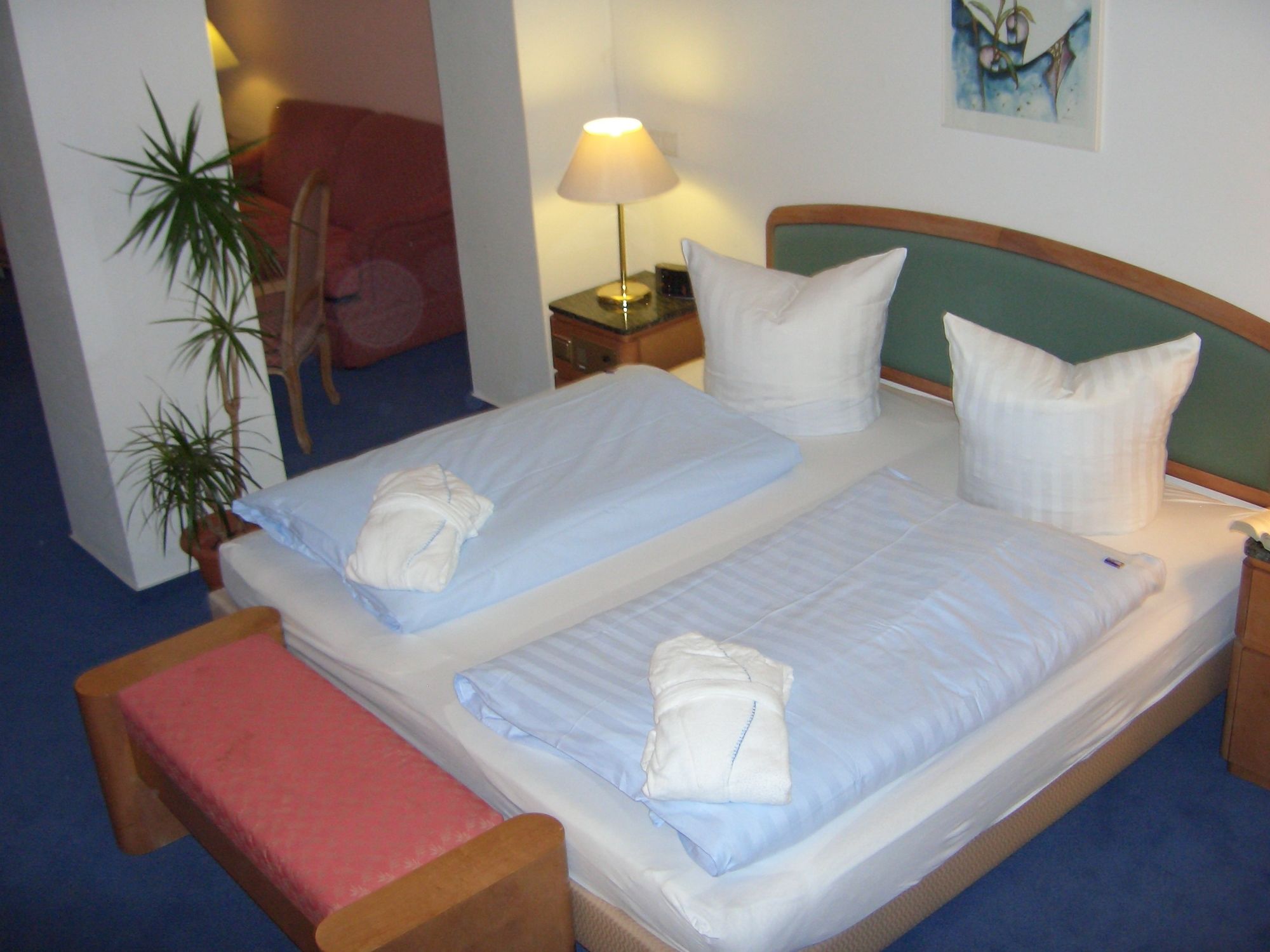 Фото Hotel Belvedere