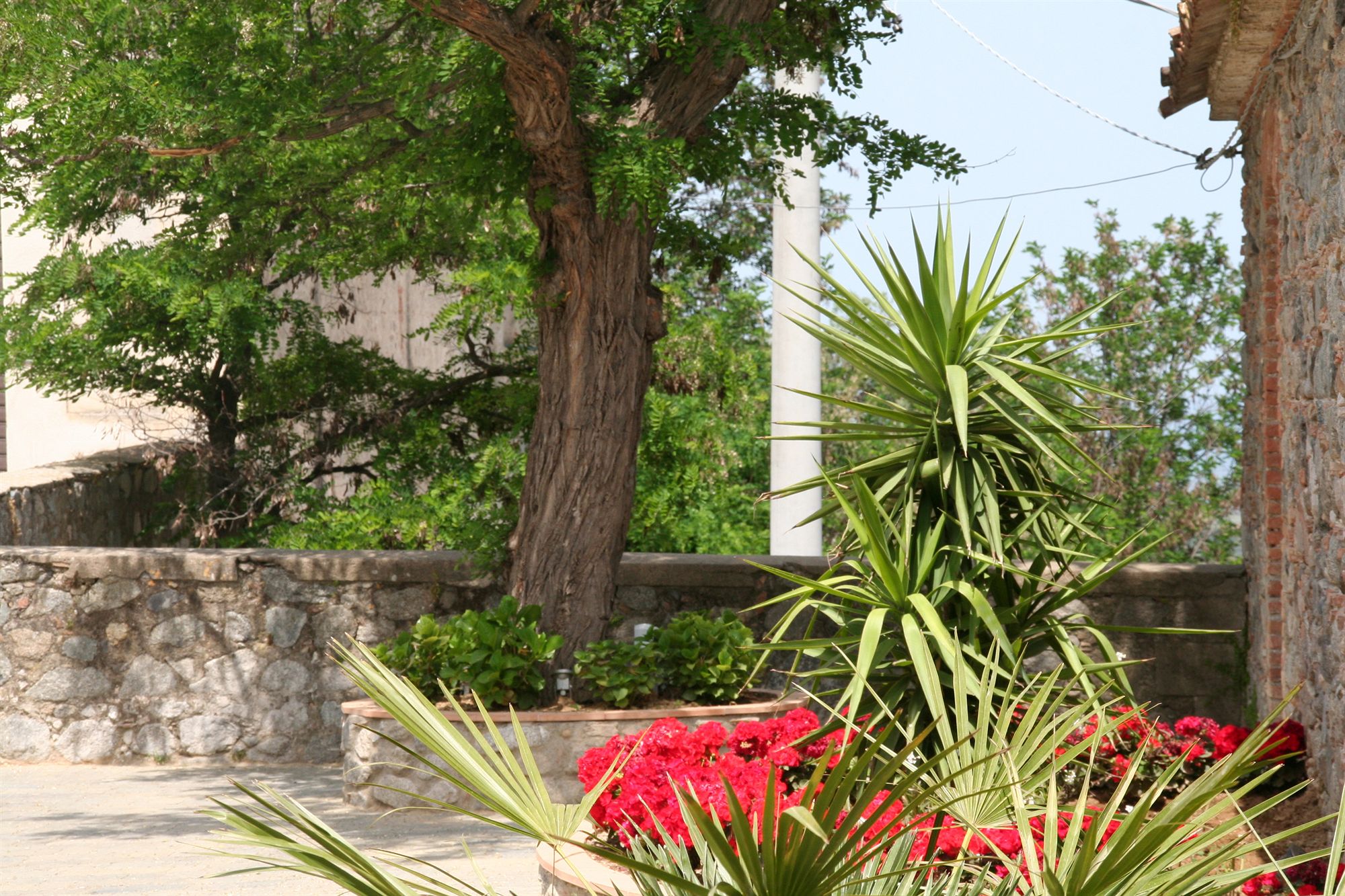 Фото Tenuta Ciminata Greco