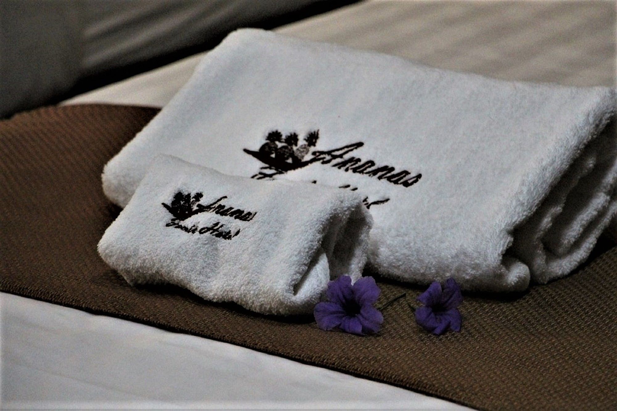 Фото Ananas Family Hotel