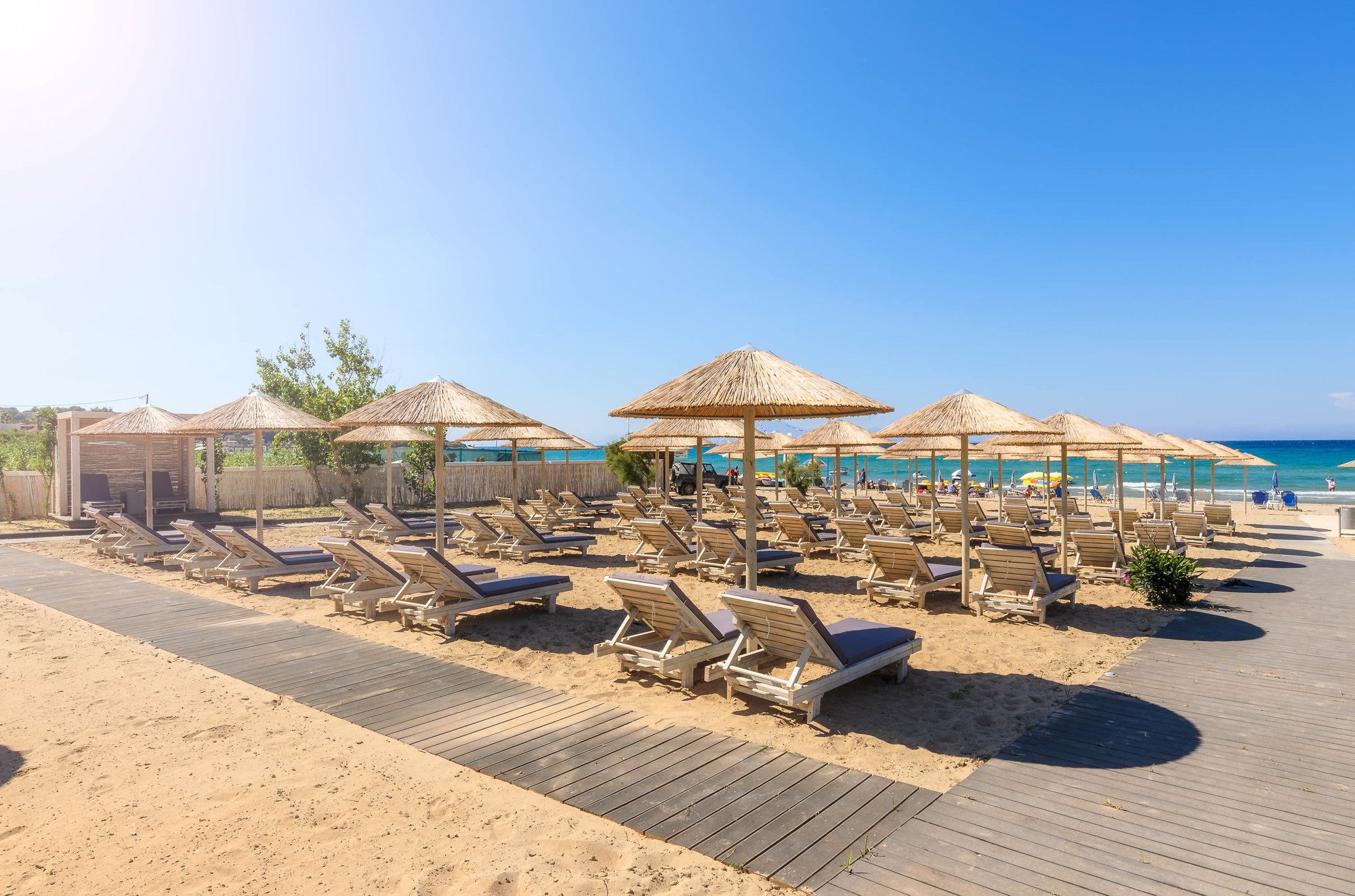 Фото Venus Resort