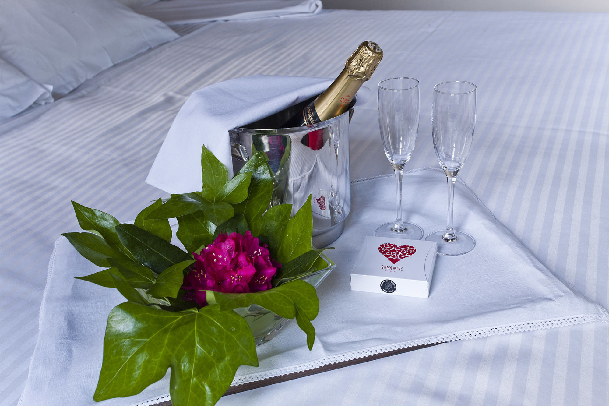 Фото Hotel Tximista