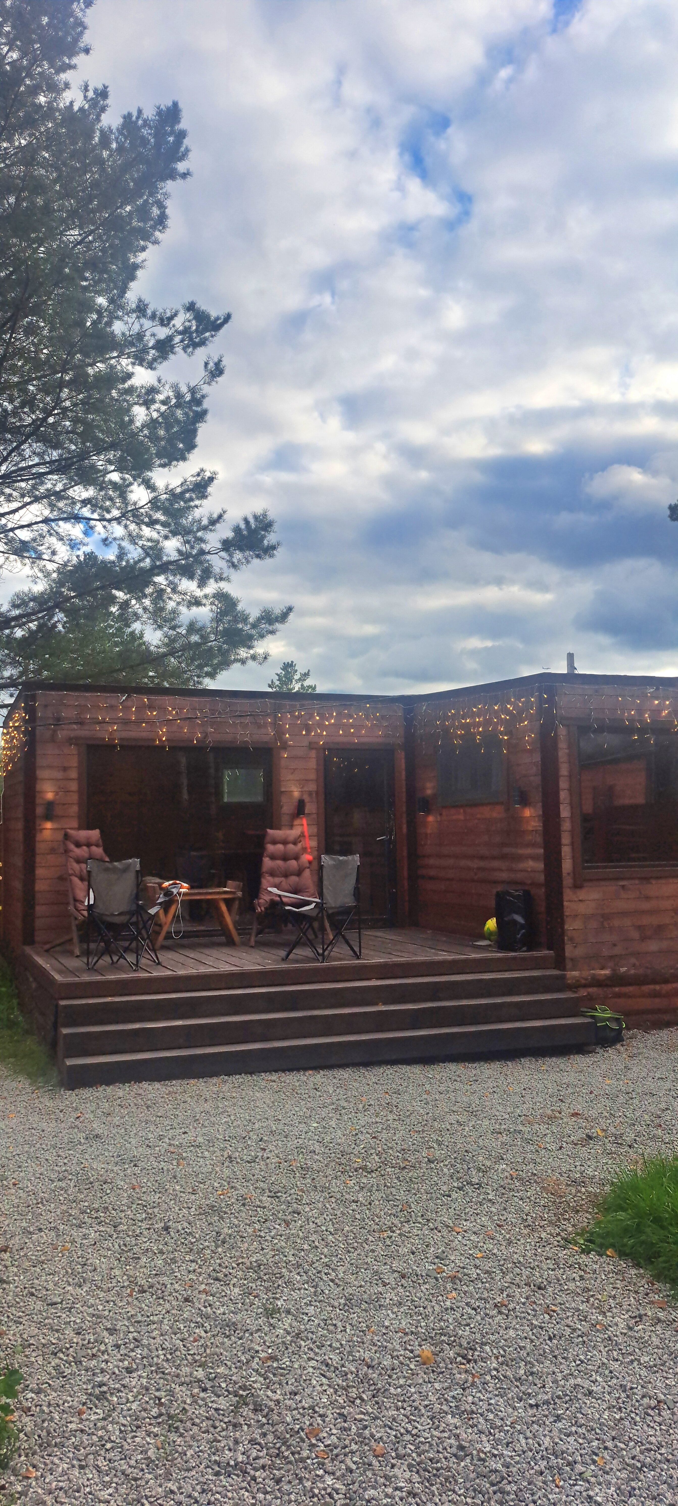 Фото Тихий Кот