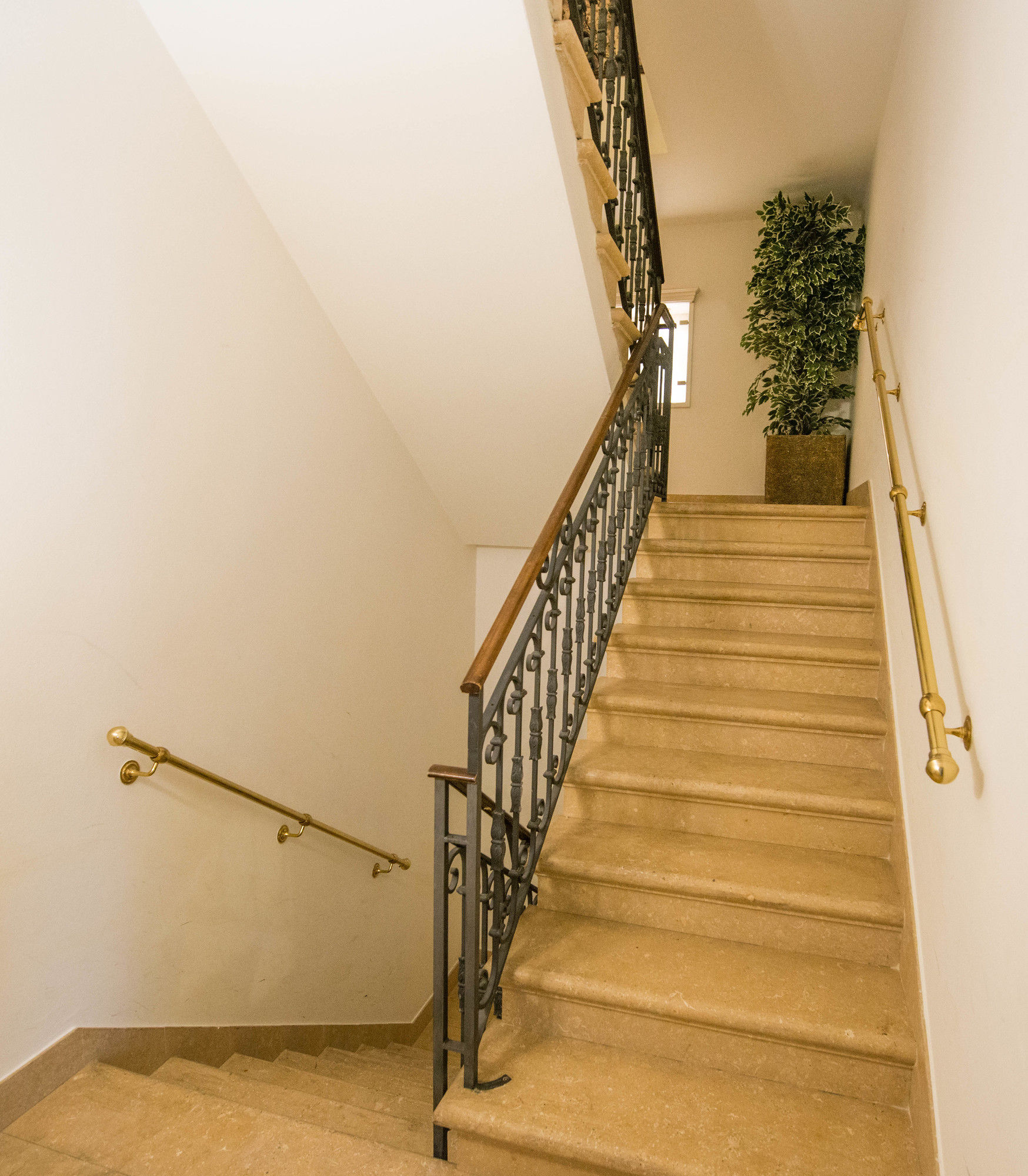 Фото Hotel Colombina