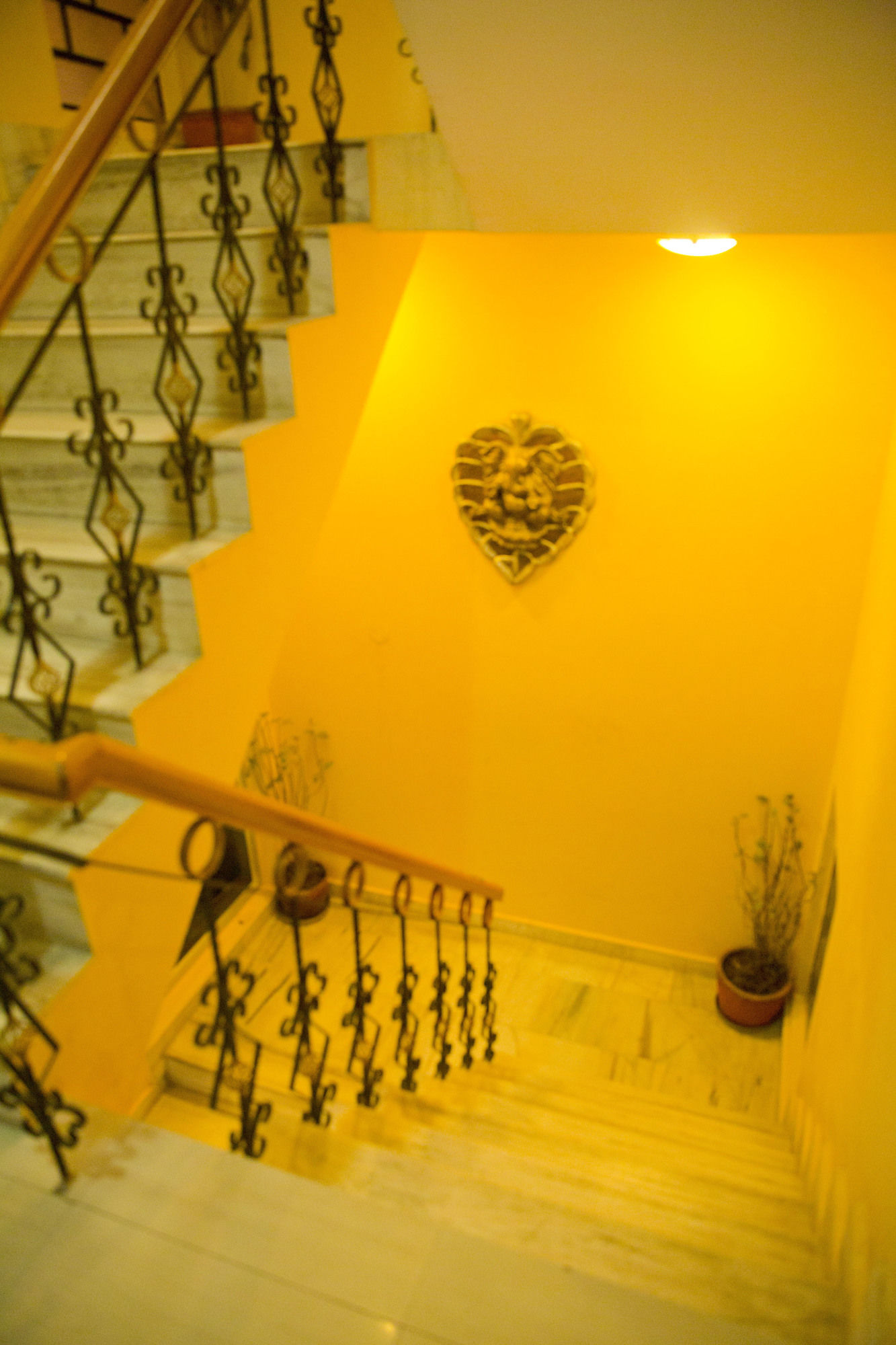 Фото Hotel Ganesha