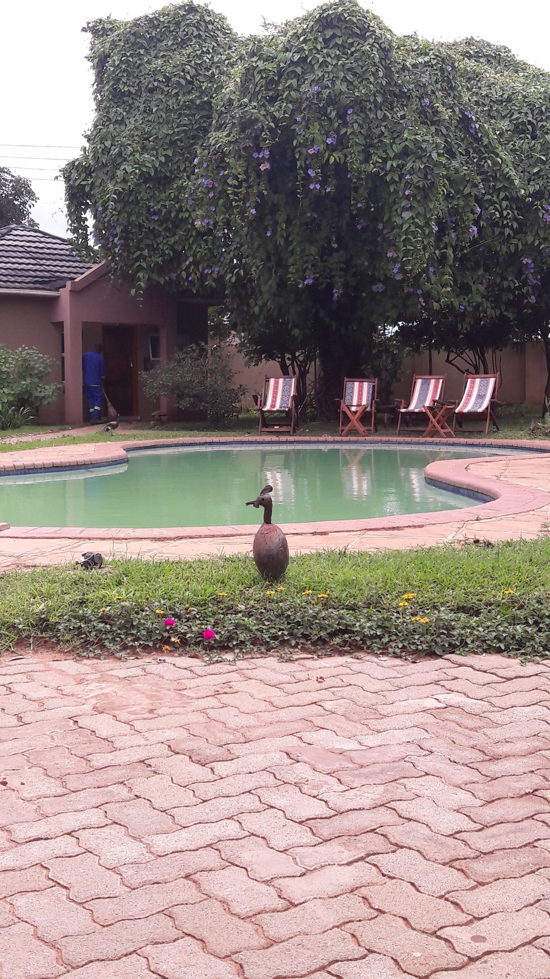 Фото Tasha Lodge