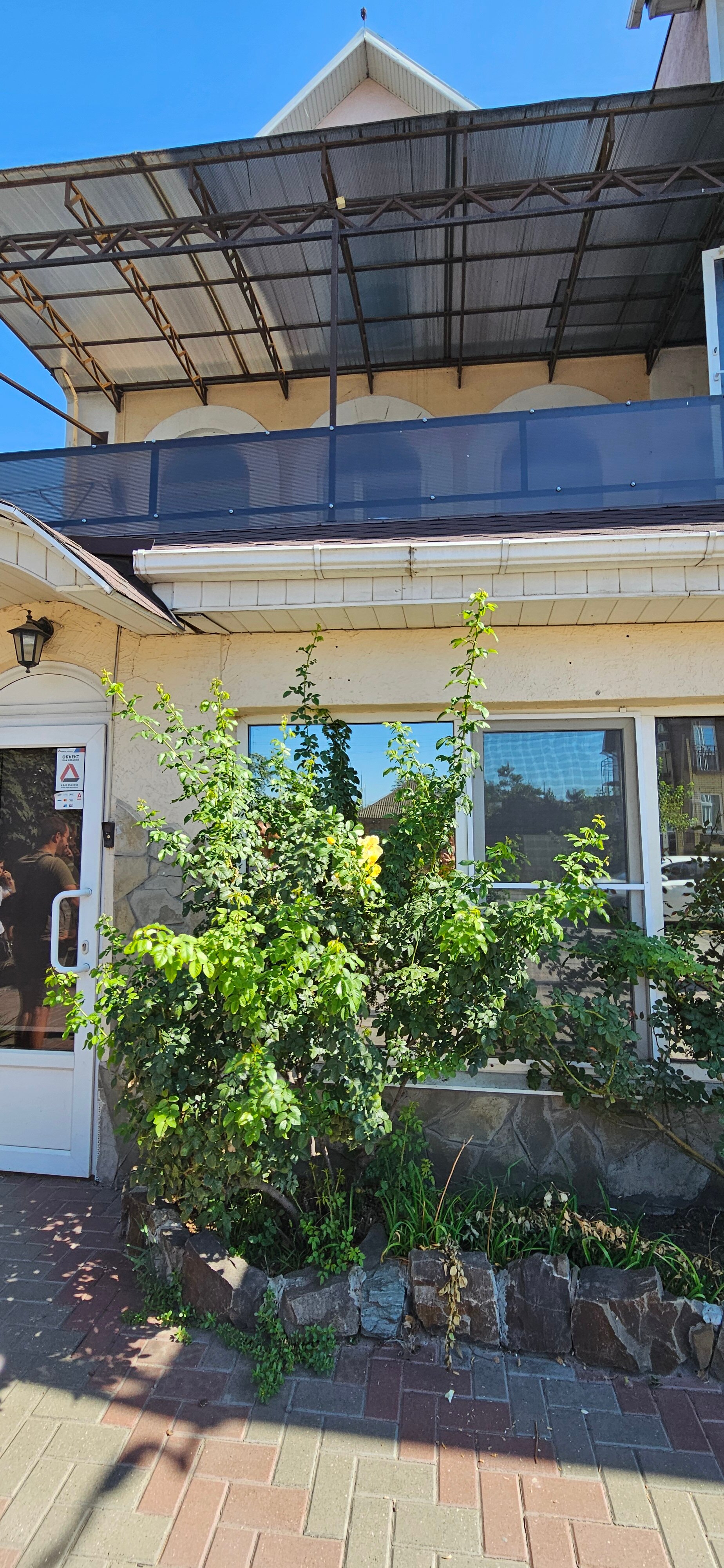 Фото Надежда