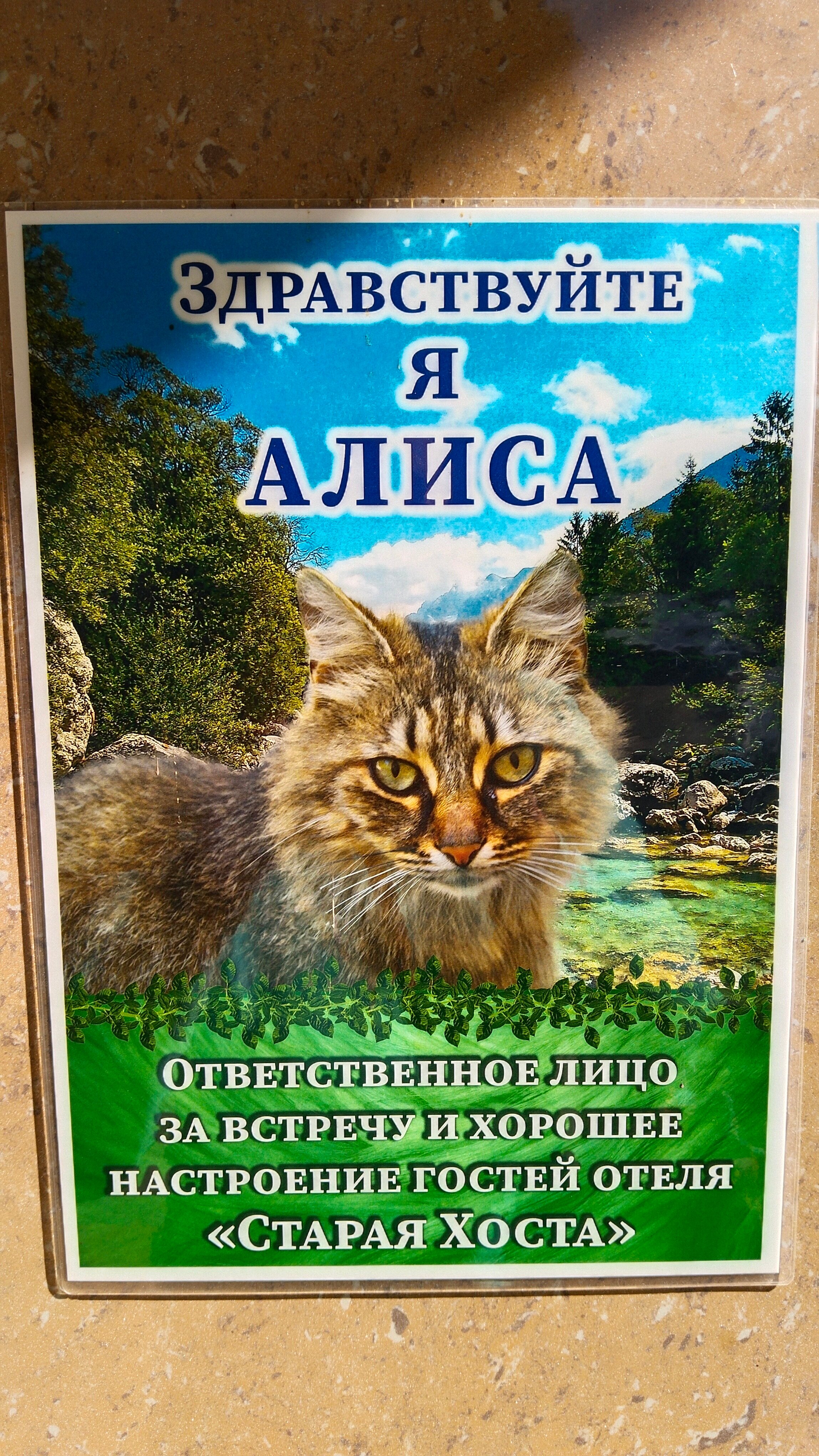 Фото Старая Хоста