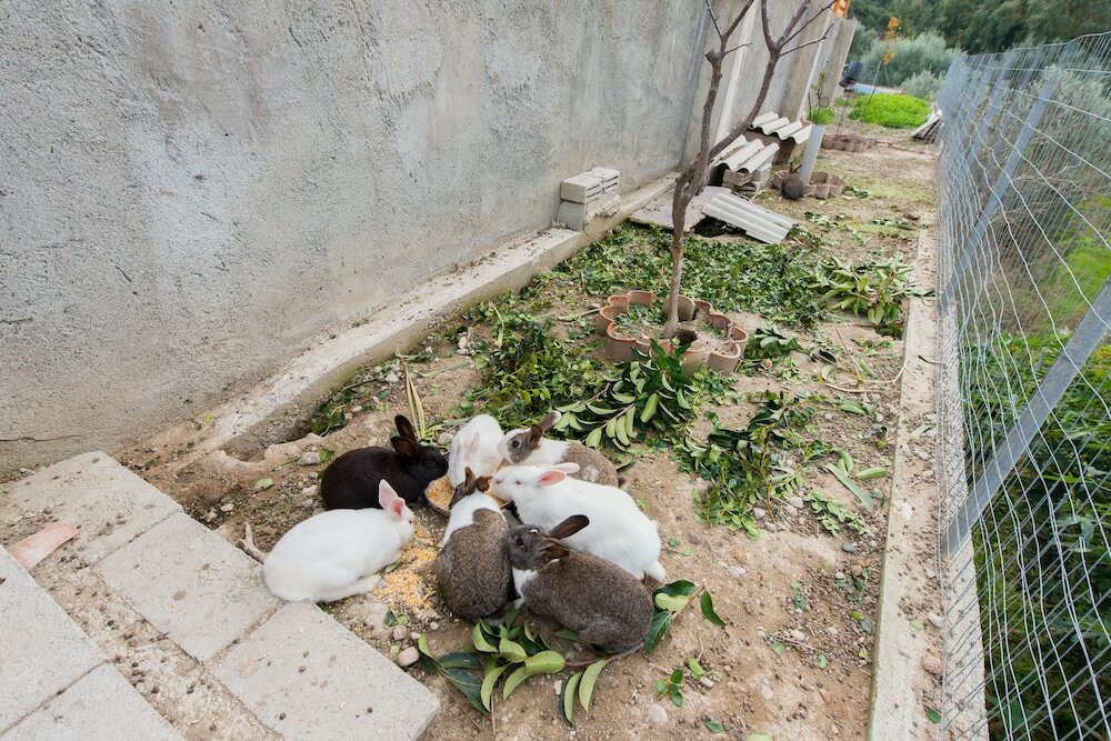 Фото Natura House