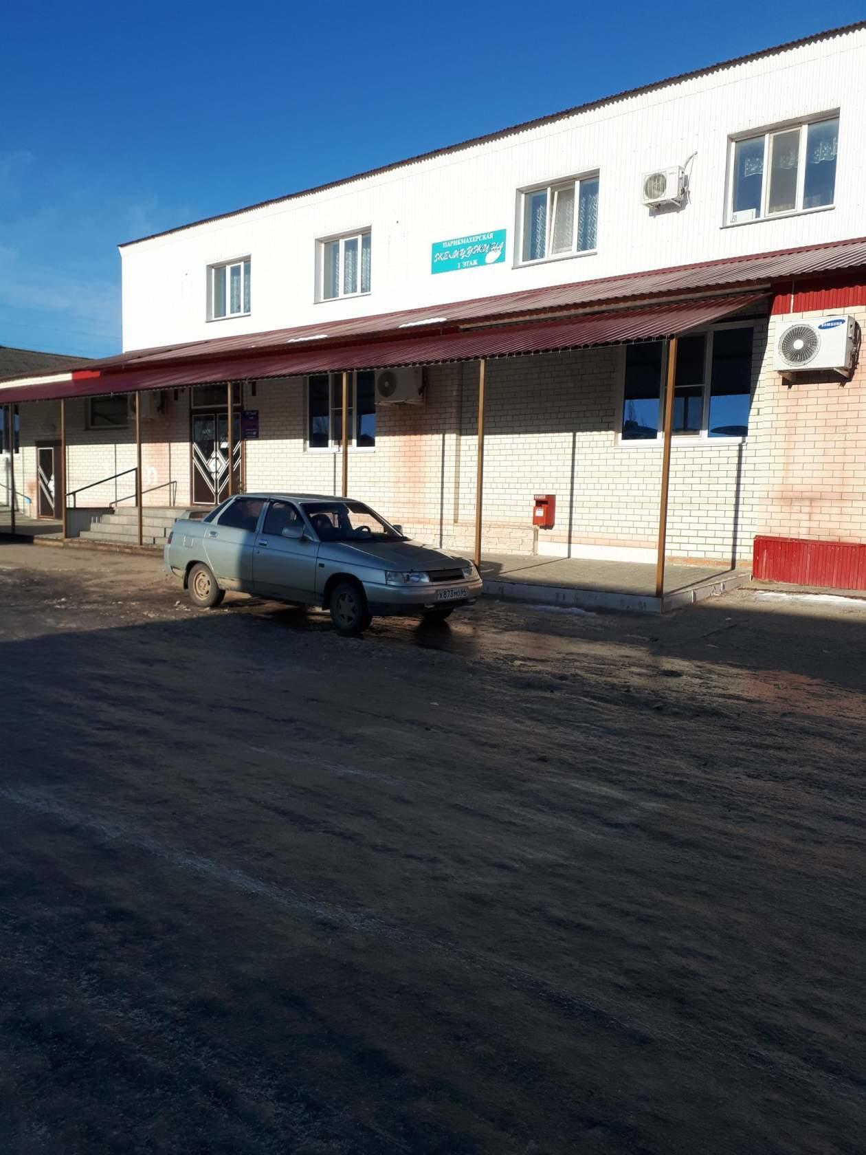 Фото Фаворит