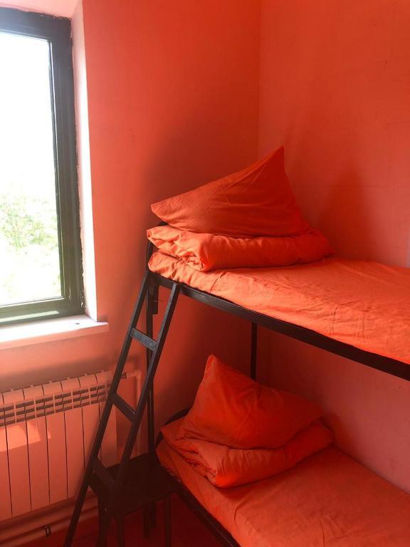 Фото Вежливый Лось