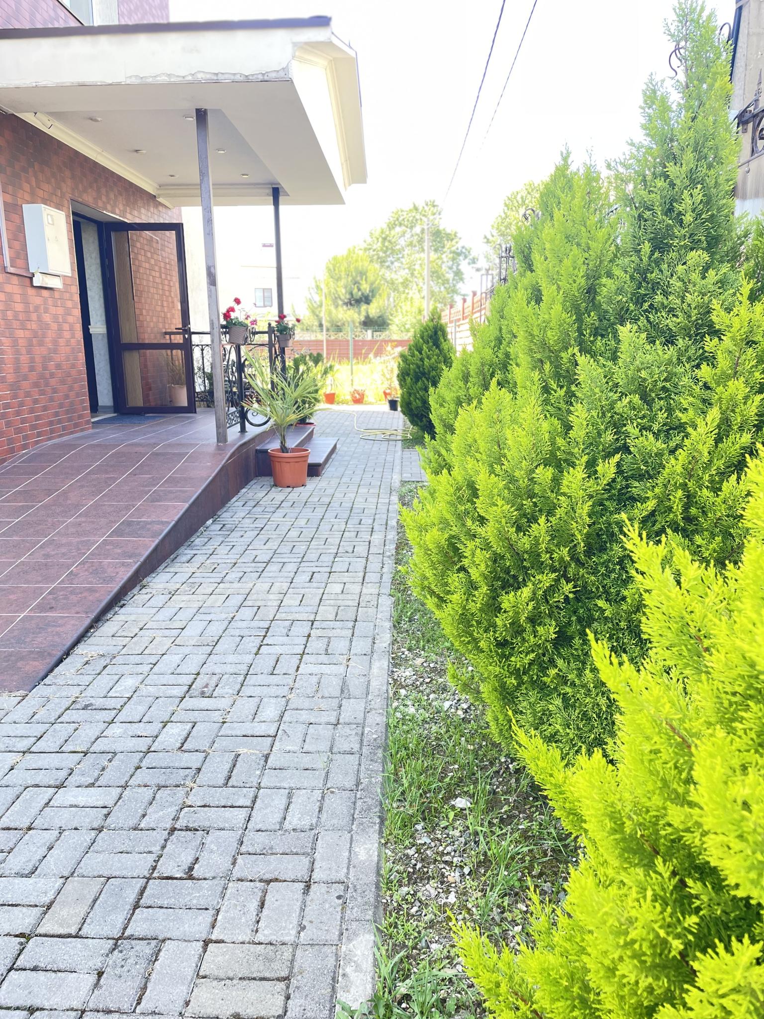 Фото Аристократ