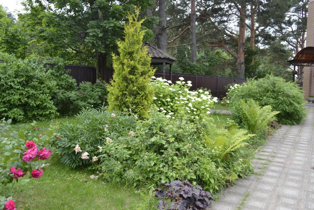 Фото Комфорт