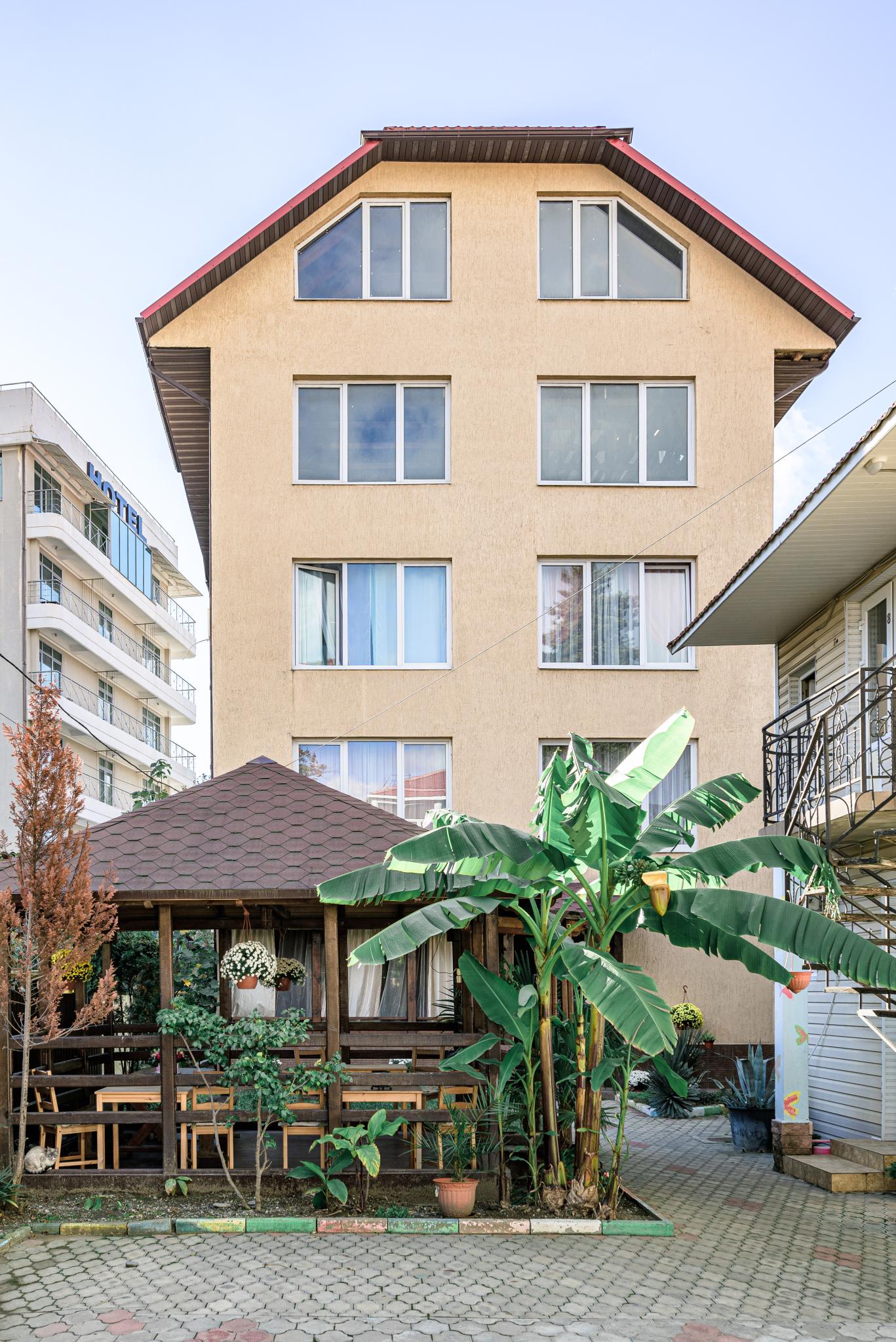 Фото Прованс