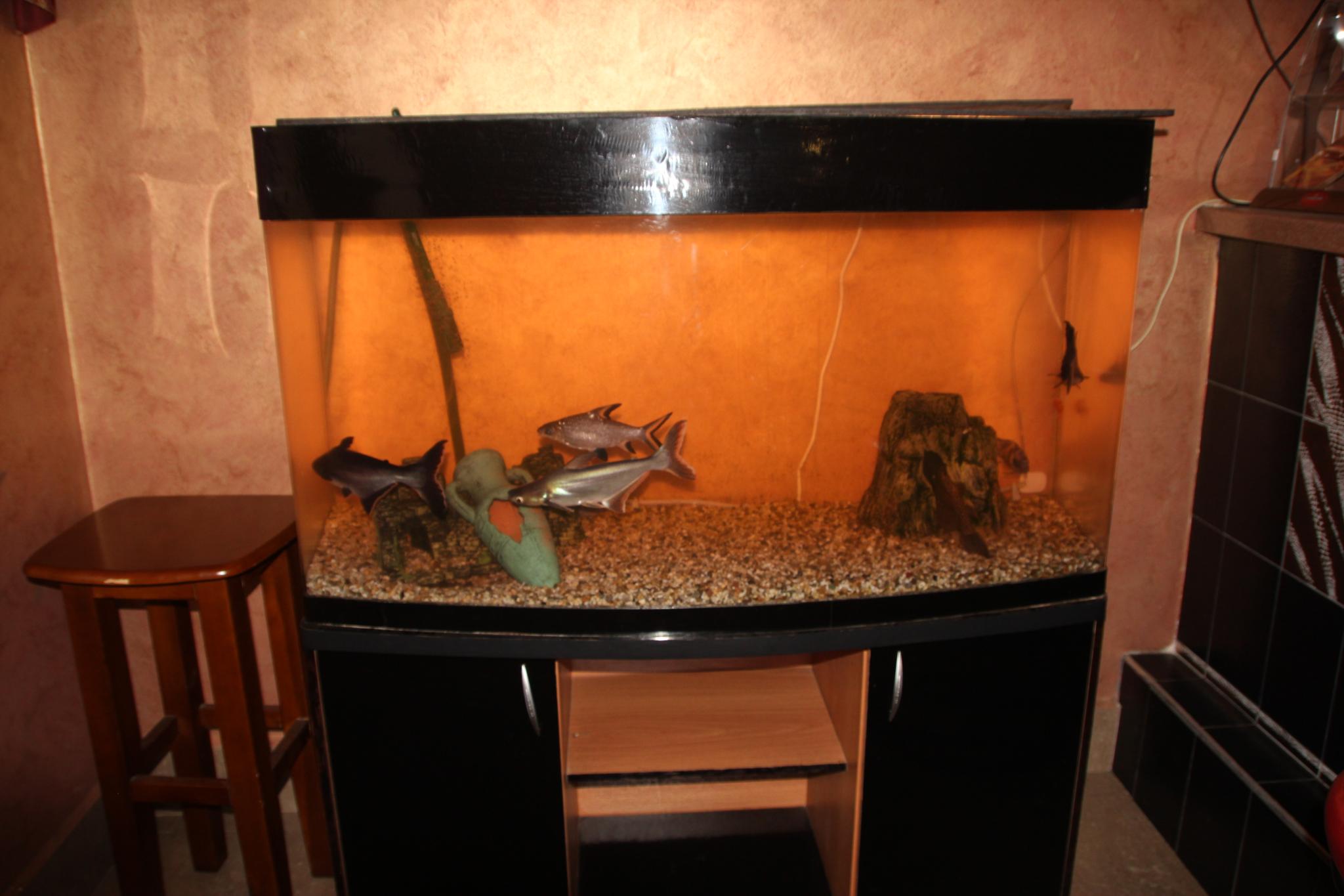 Фото Альпари