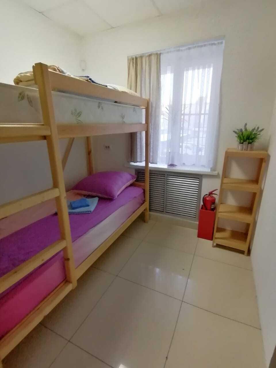 Фото Брусника