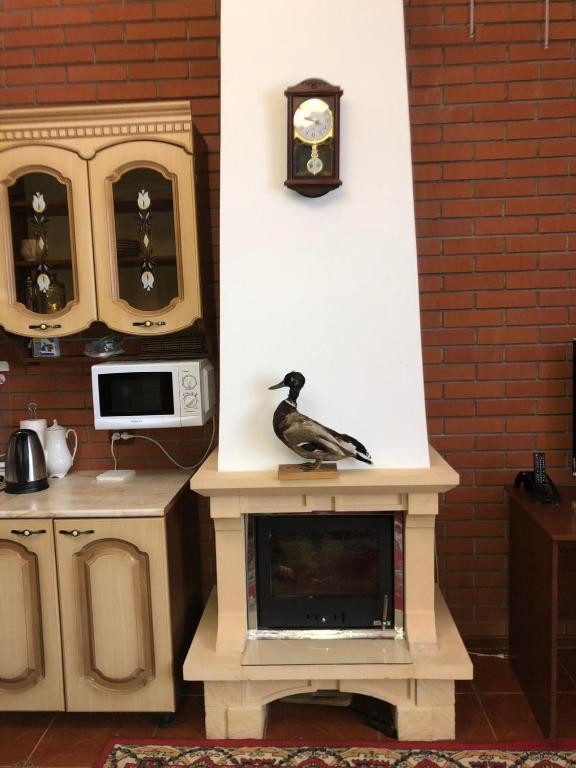 Фото Комфорт