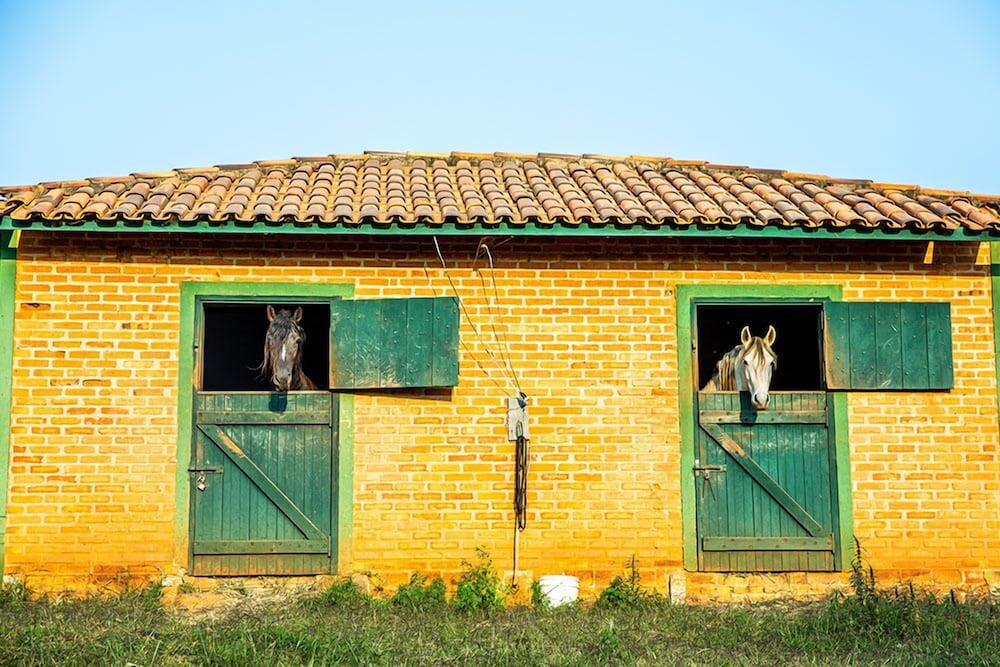 Фото Hotel Fazenda Estancia Reviver