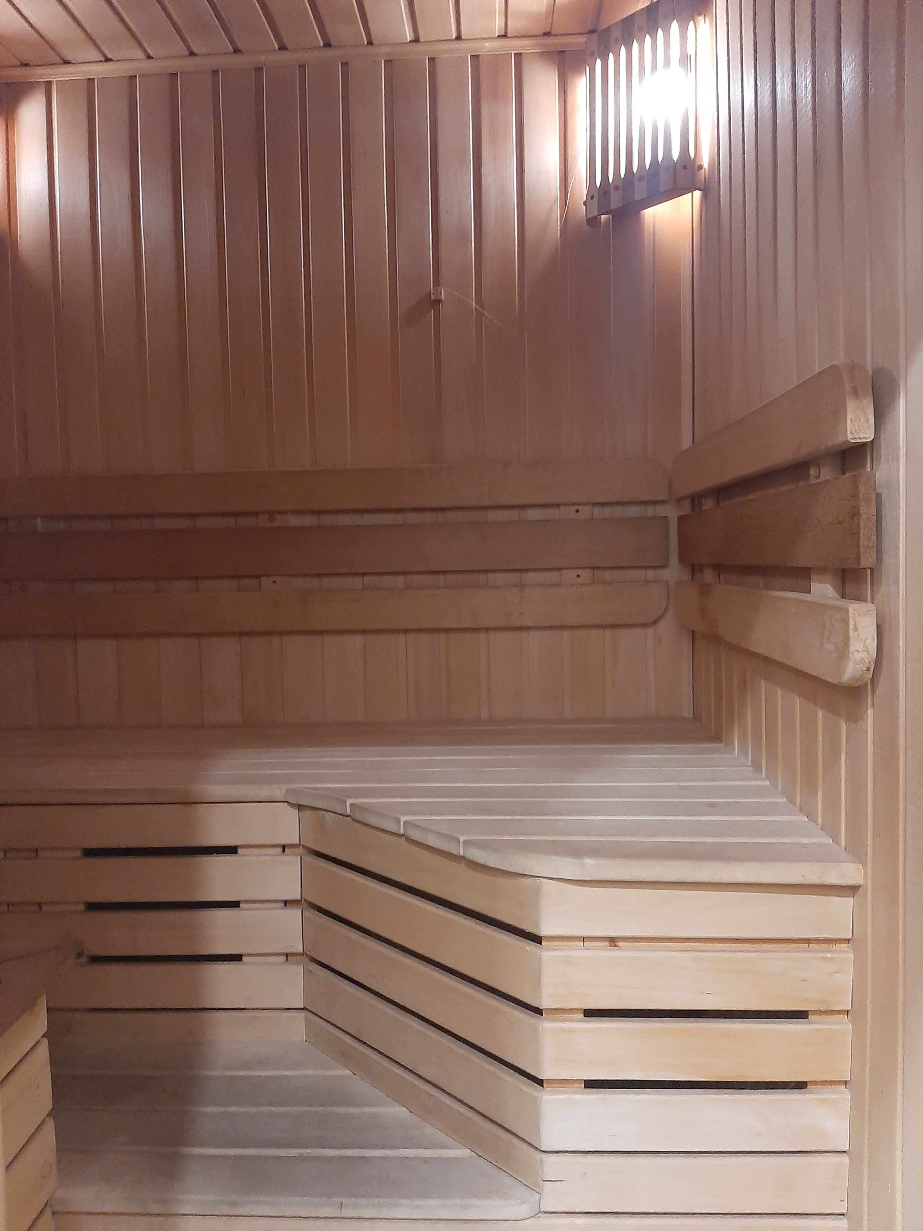 Фото Азалия