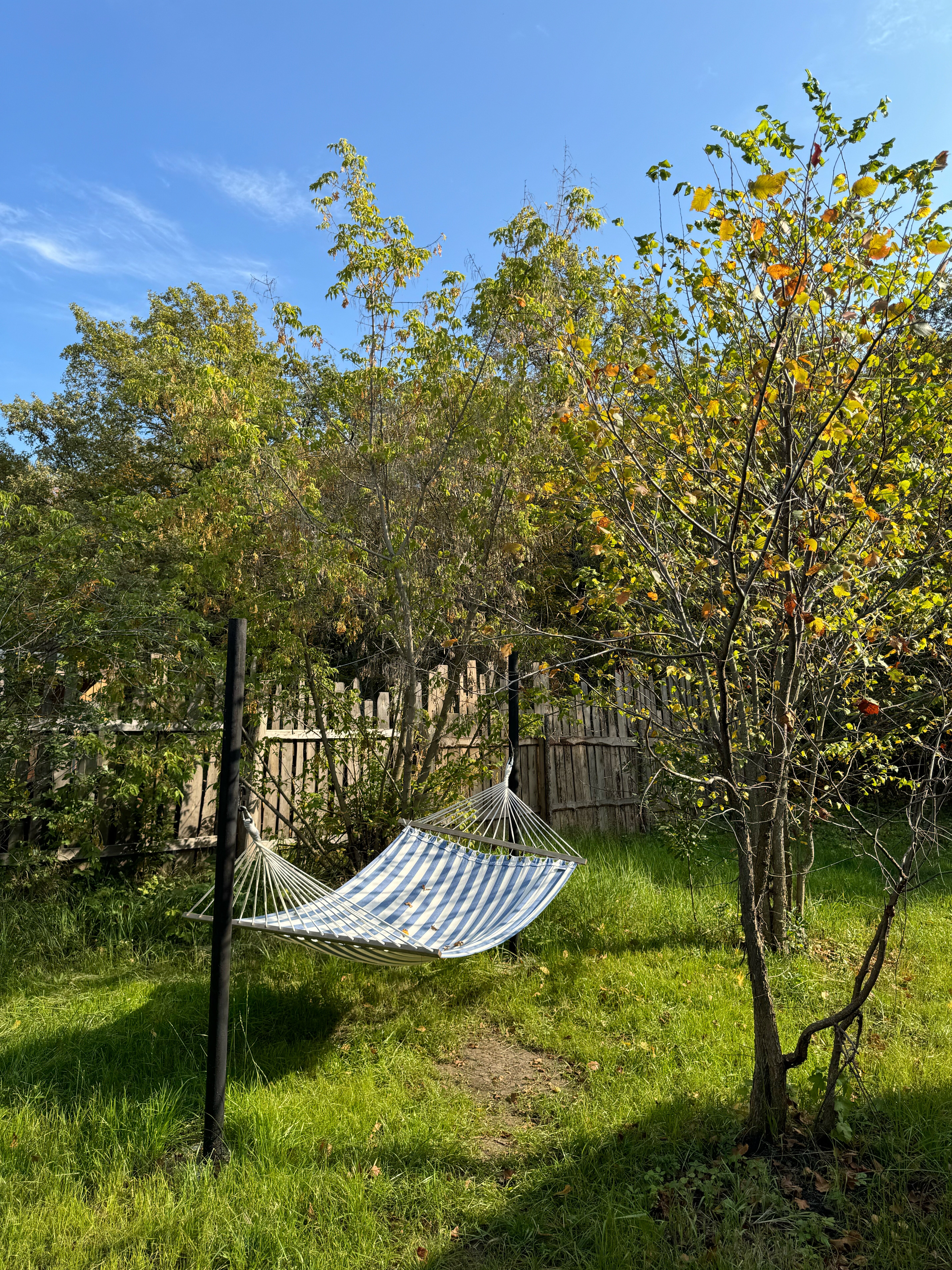 Фото Скандинавия