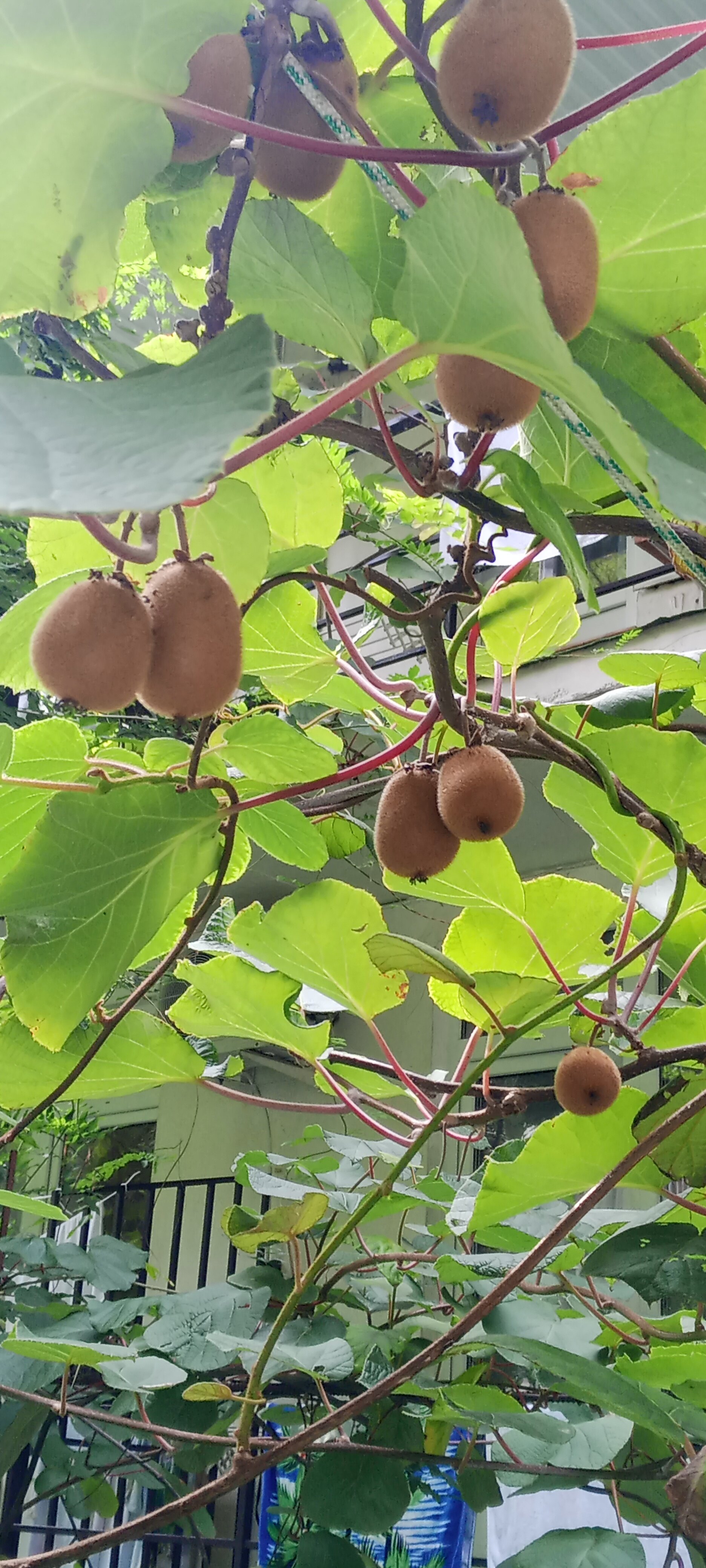 Фото Море и Горы