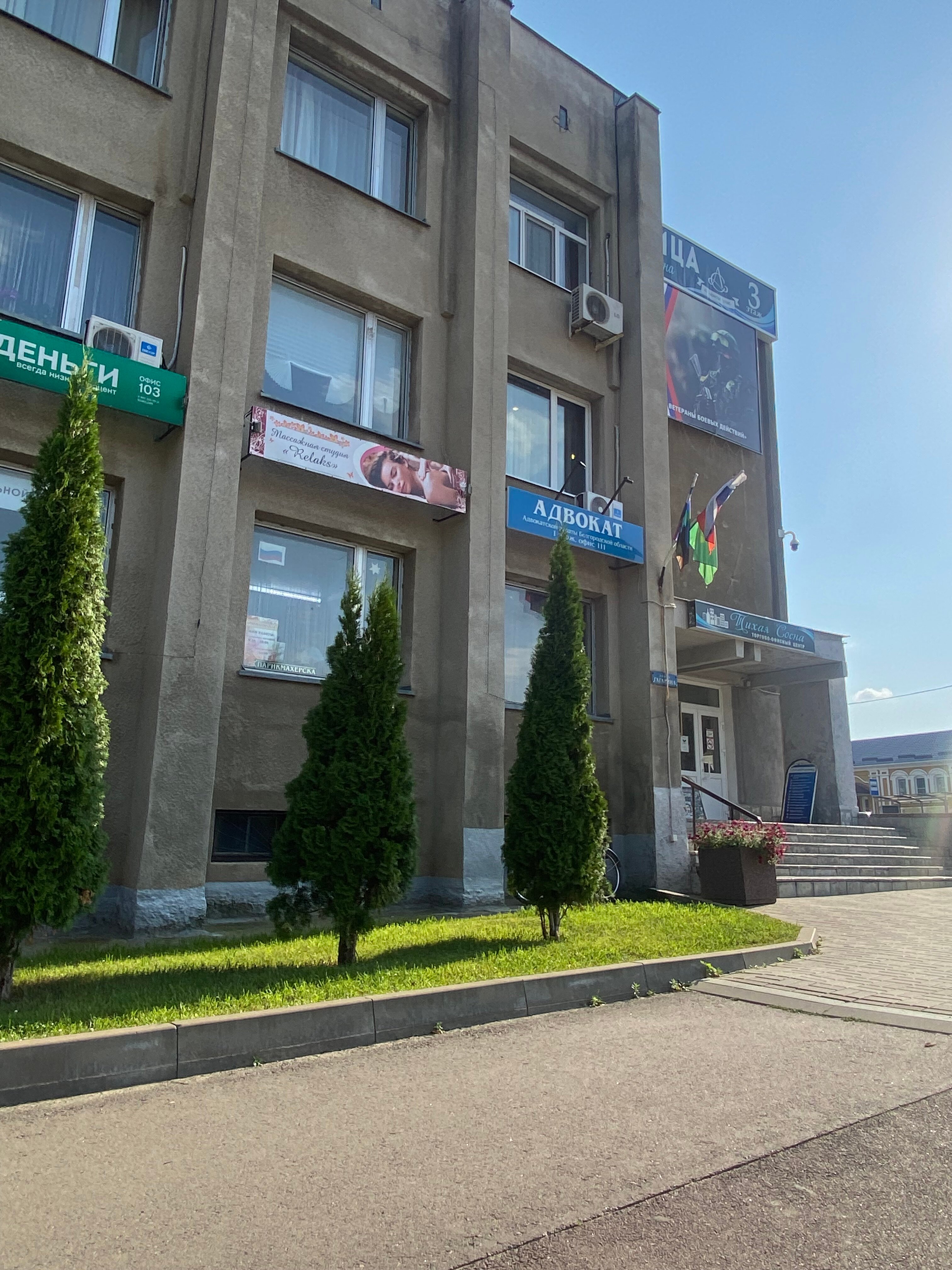 Фото Тихая сосна