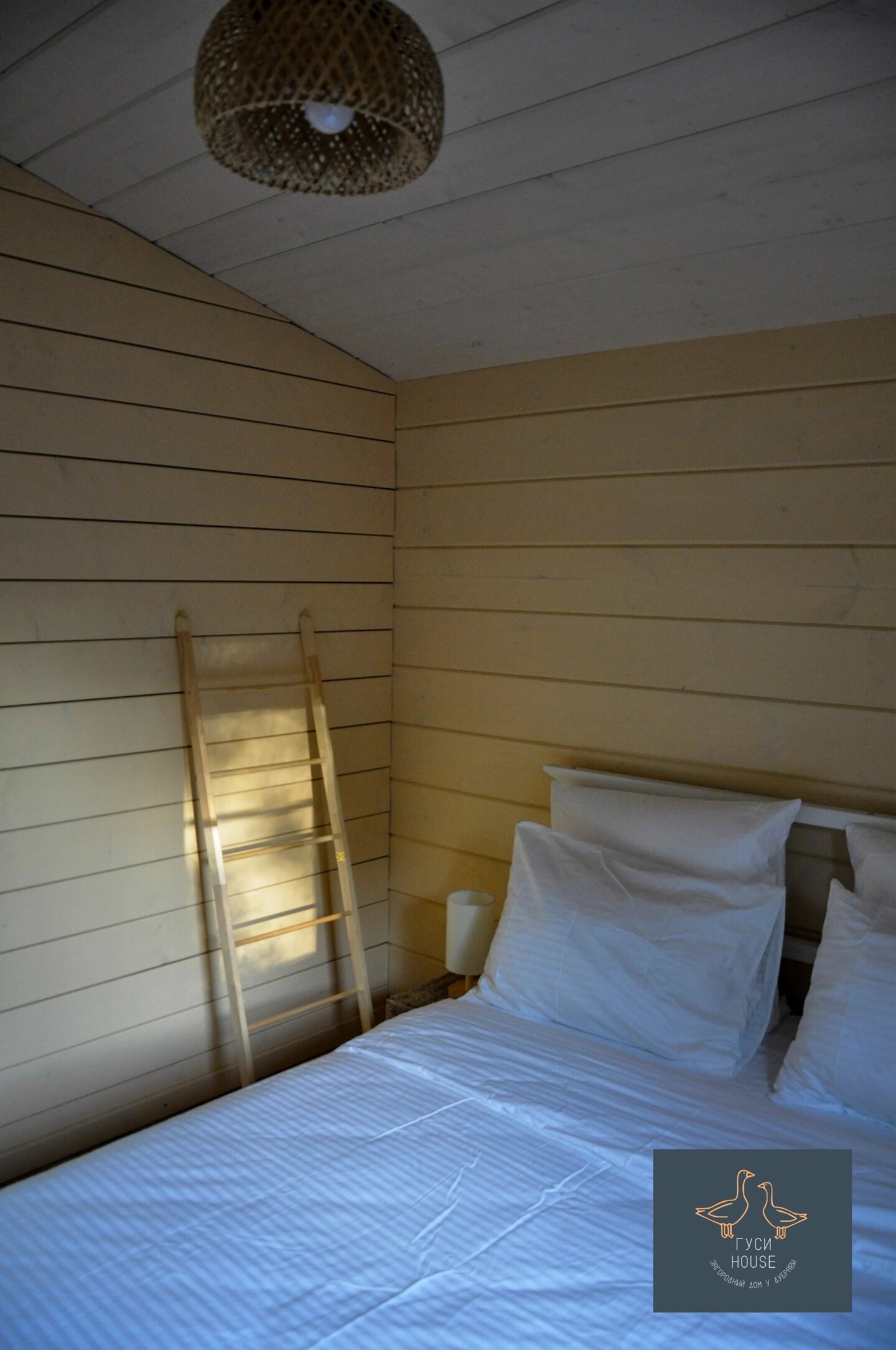 Фото Гуси House