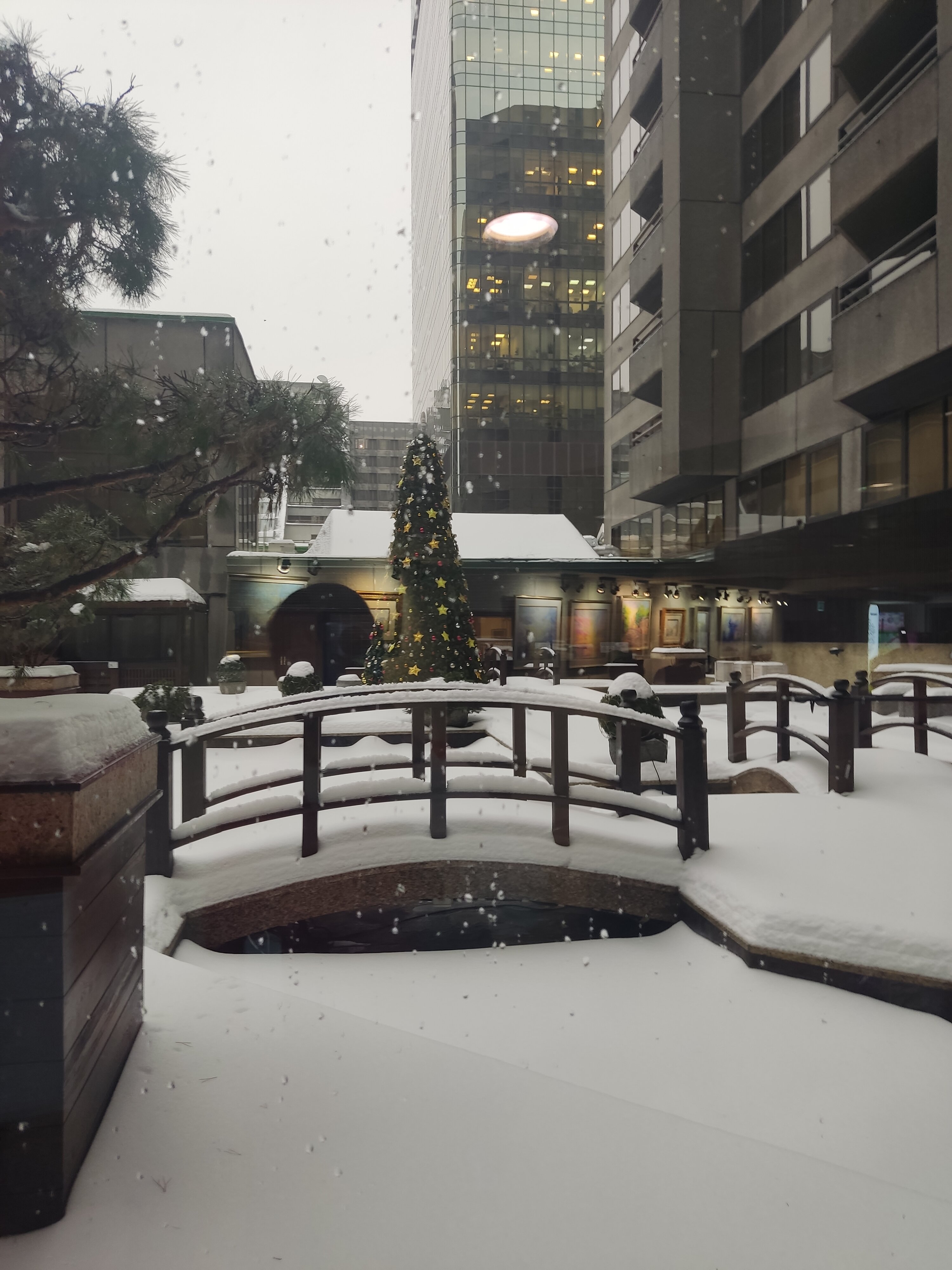 Фото Plaza Garden Moscow WTC