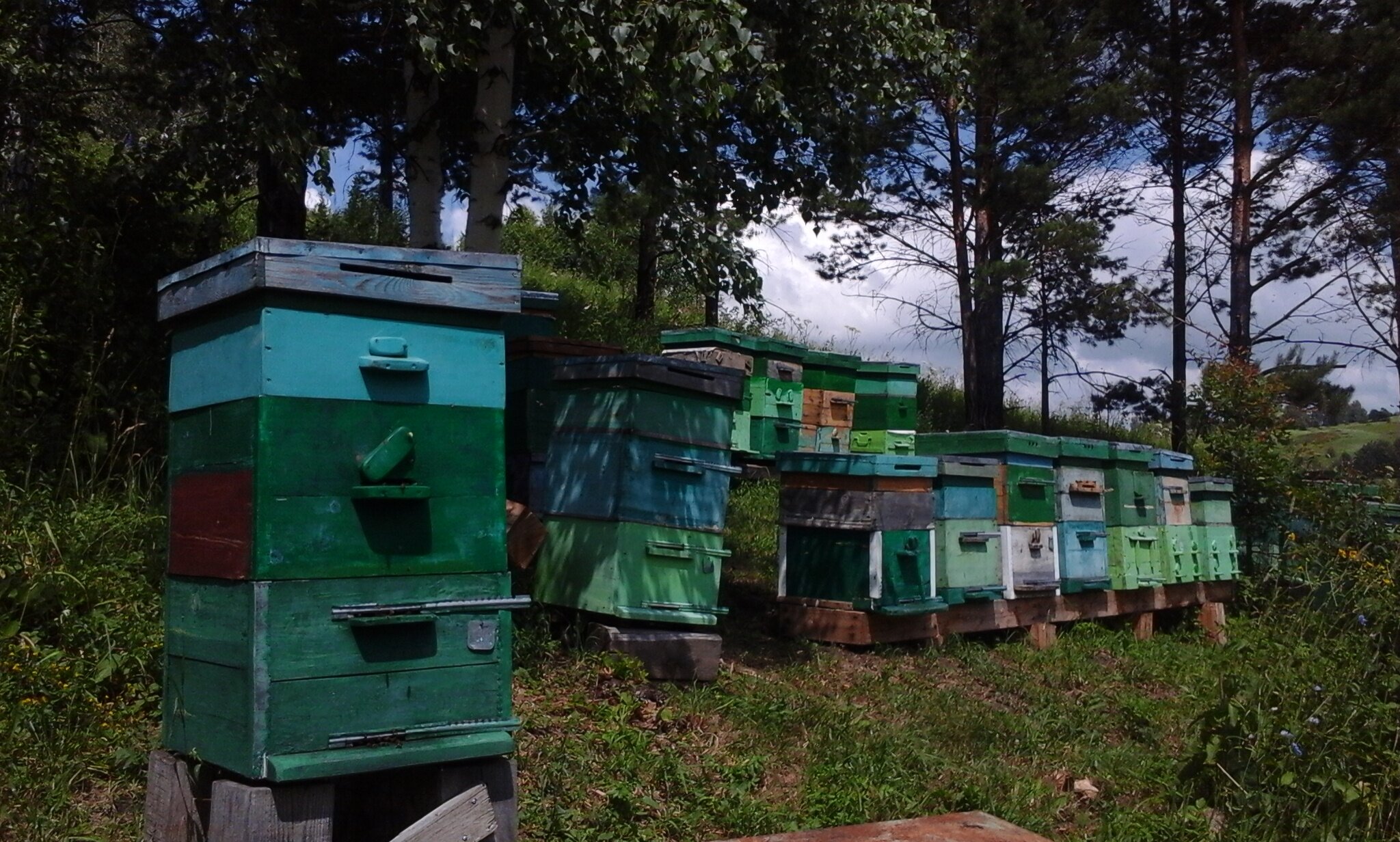 Фото Тихий Лог