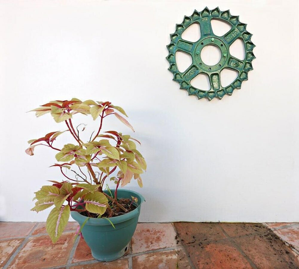 Фото Hostal La Posada de Conil