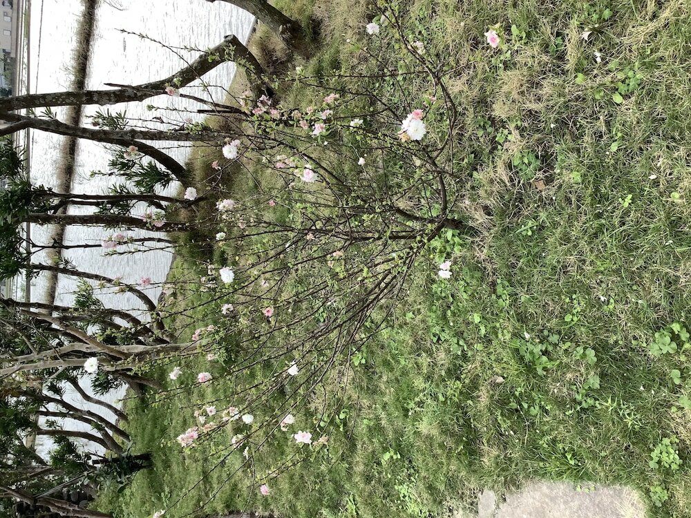 Фото Leisure Pavilion House B&b