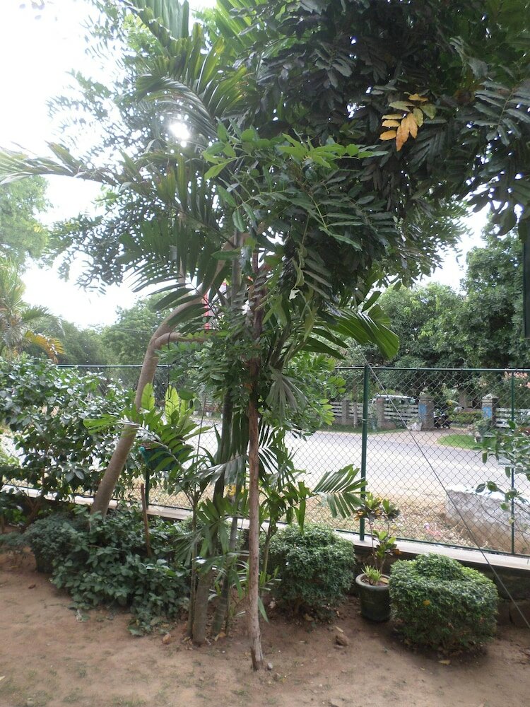 Фото Hotel senora kataragama