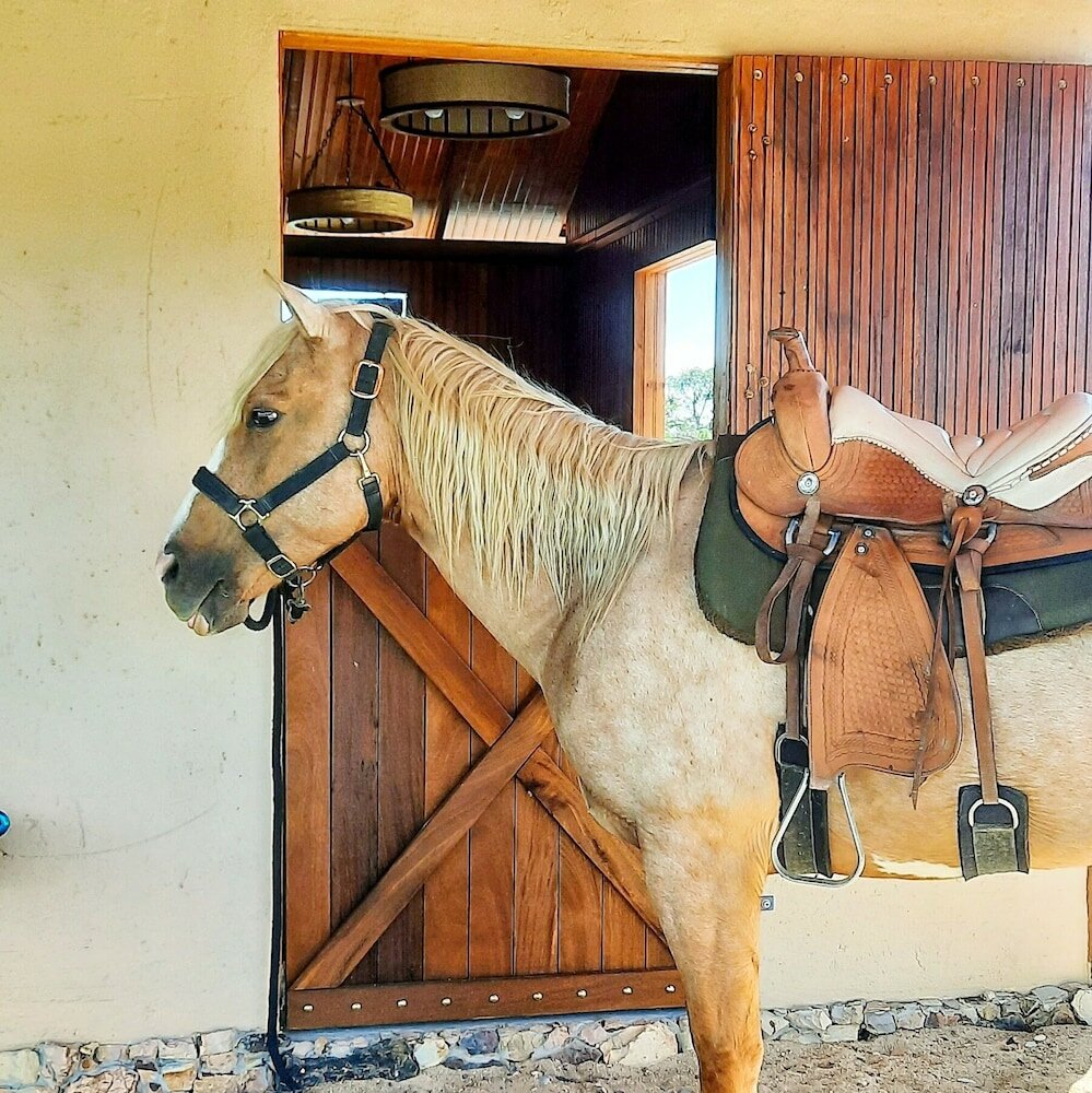 Фото Paradise Ranch