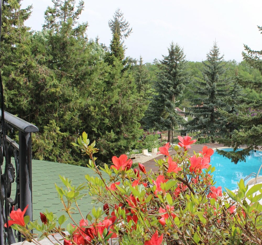 Фото Hotel Vitalis