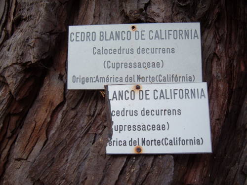 Фото Hotel Linares