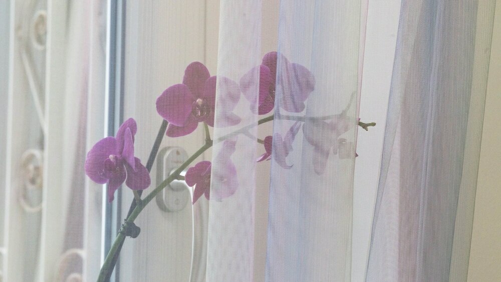 Фото St. Peter Area Luxury Suites